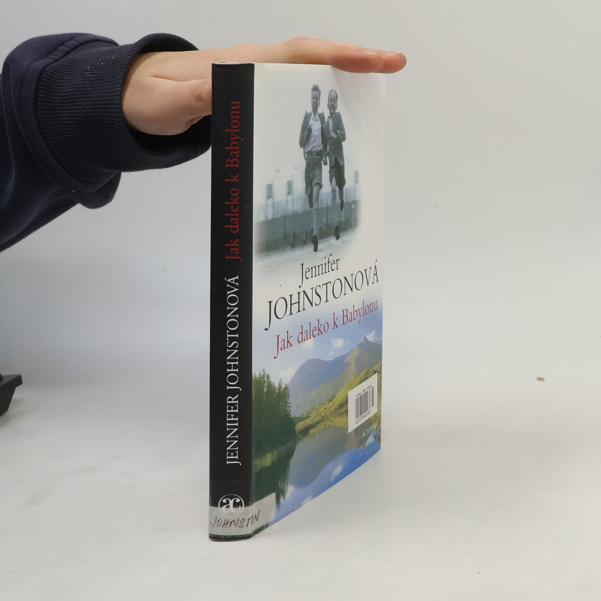 Jennifer Johnston Jak daleko k Babylonu