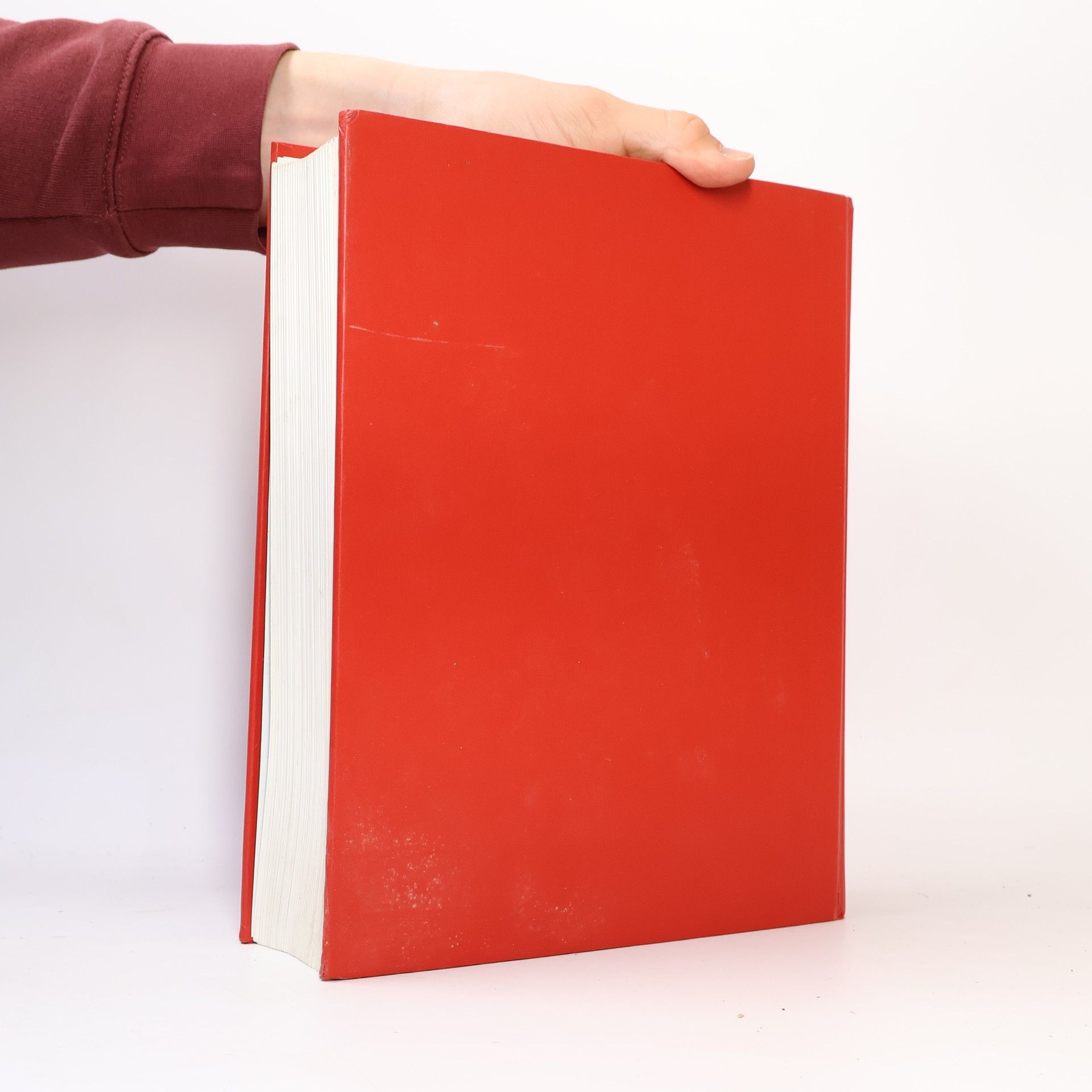 Autorenkollektiv Chronicle of the 20th Century
