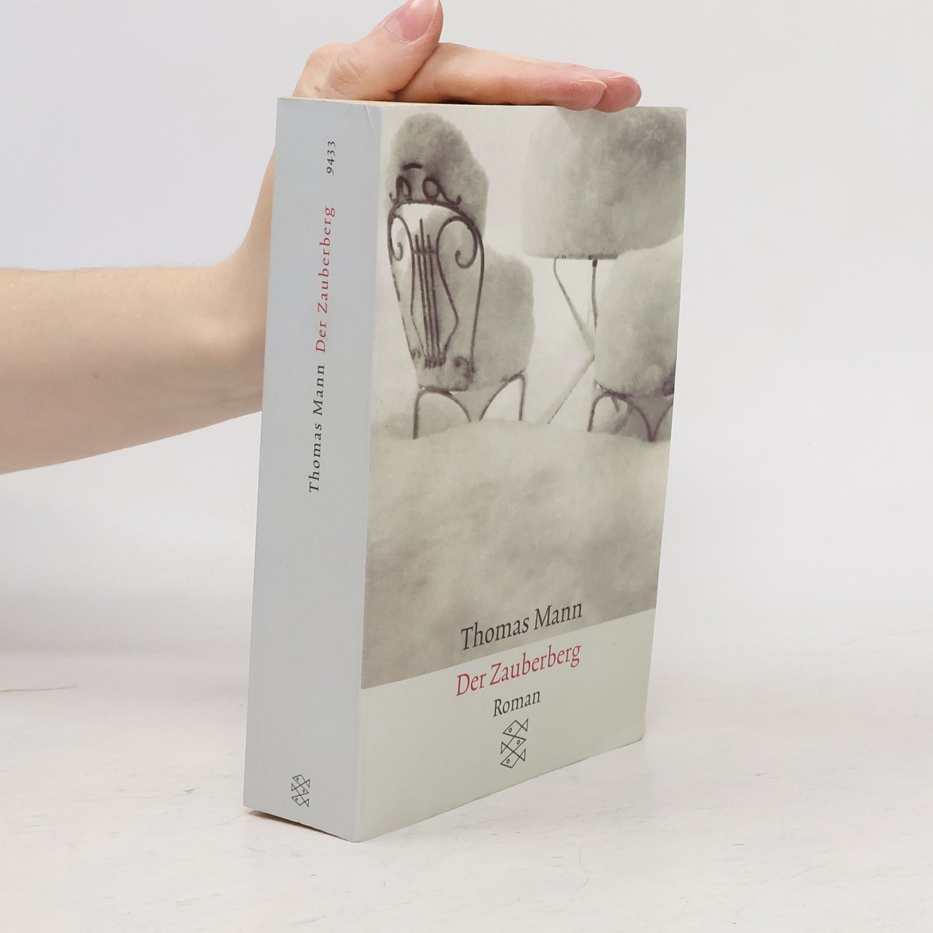 Thomas Mann Der Zauberberg
