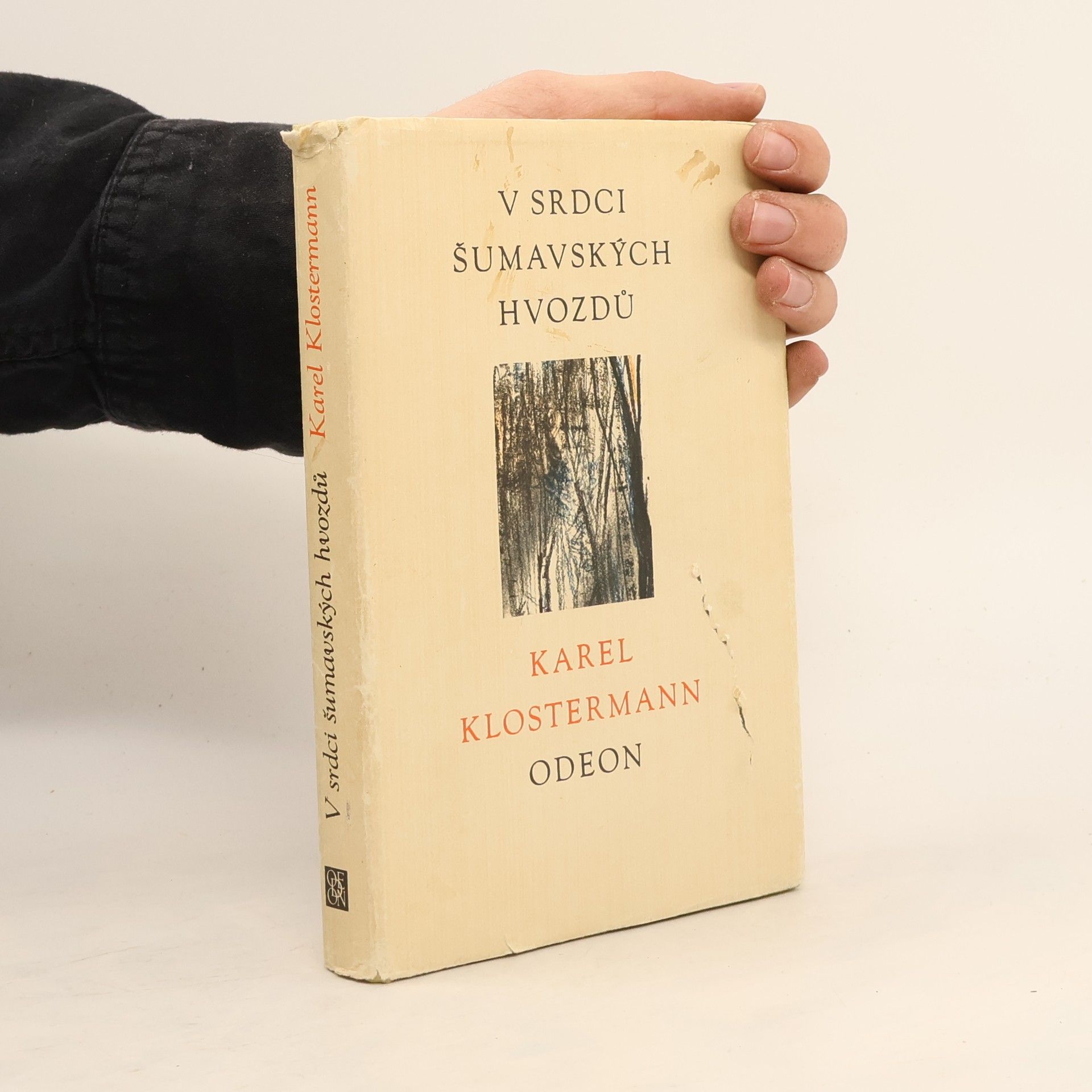 Karel Klostermann V srdci šumavských hvozdů
