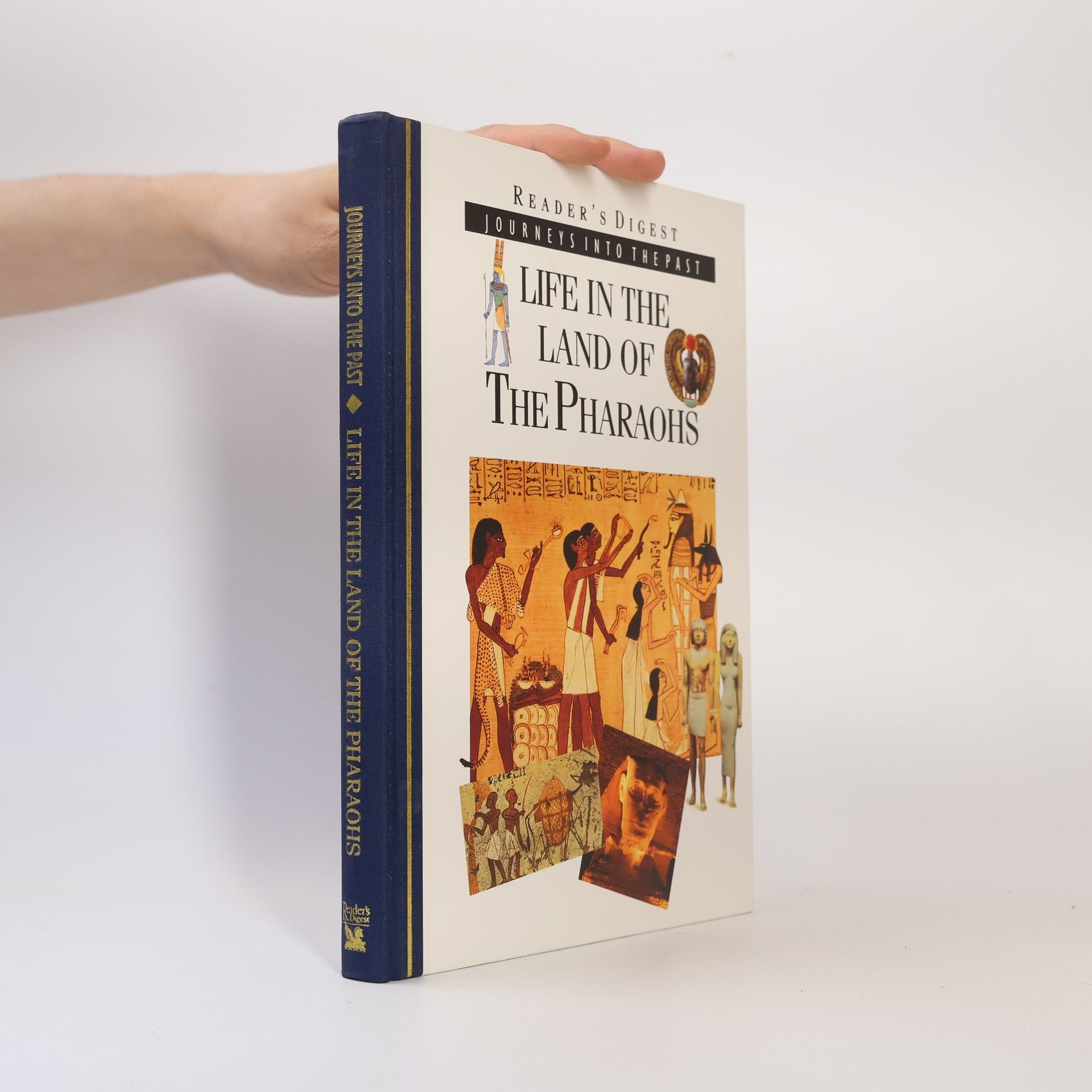Tim Healey Life in the Land of the Pharaohs