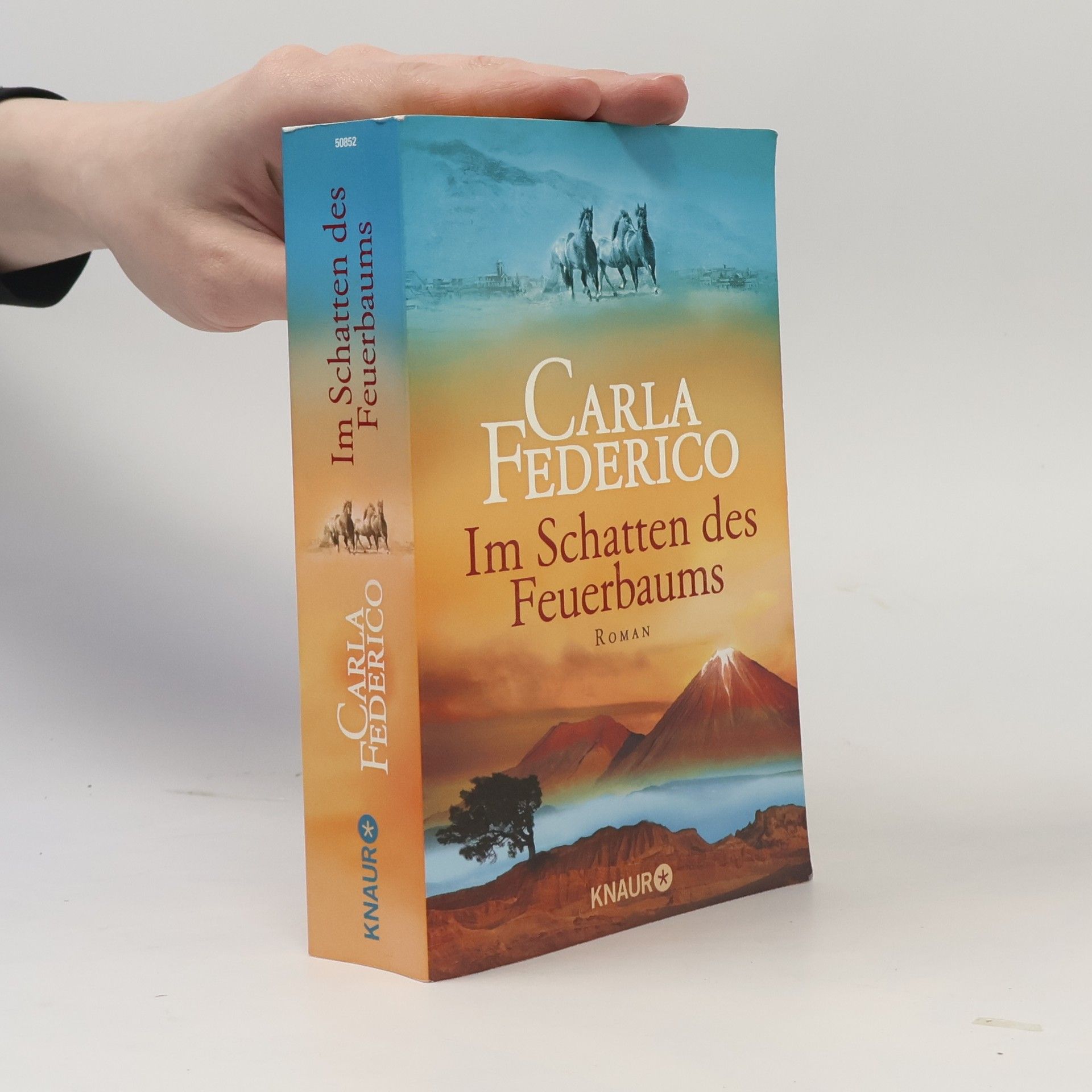 Im Schatten des Feuerbaums