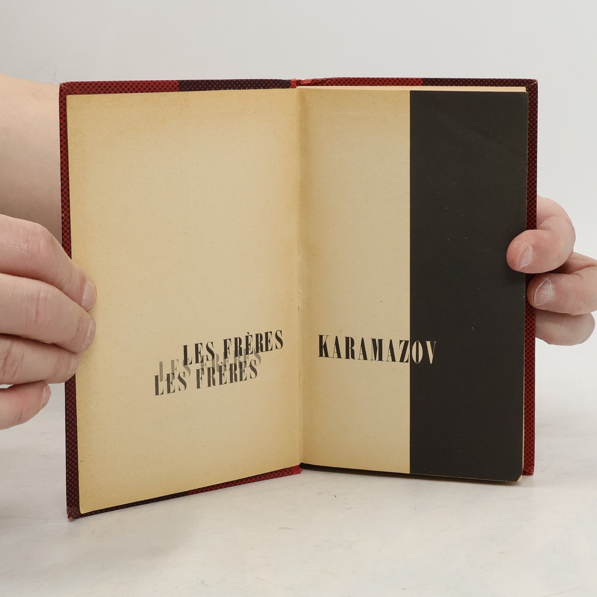 Fjodor Michailowitsch Dostojewski Les Frères Karamazov