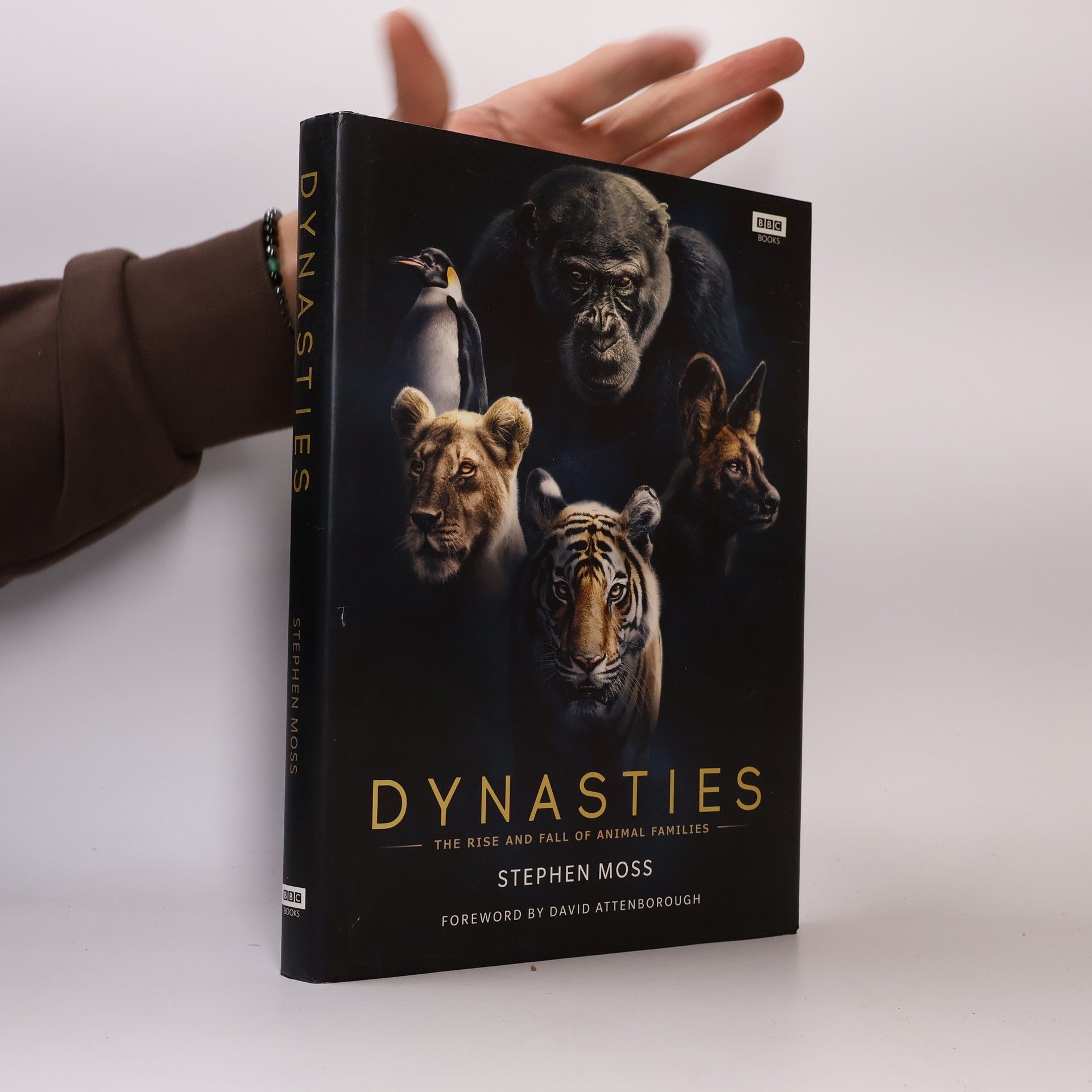 Stephen Moss Dynasties