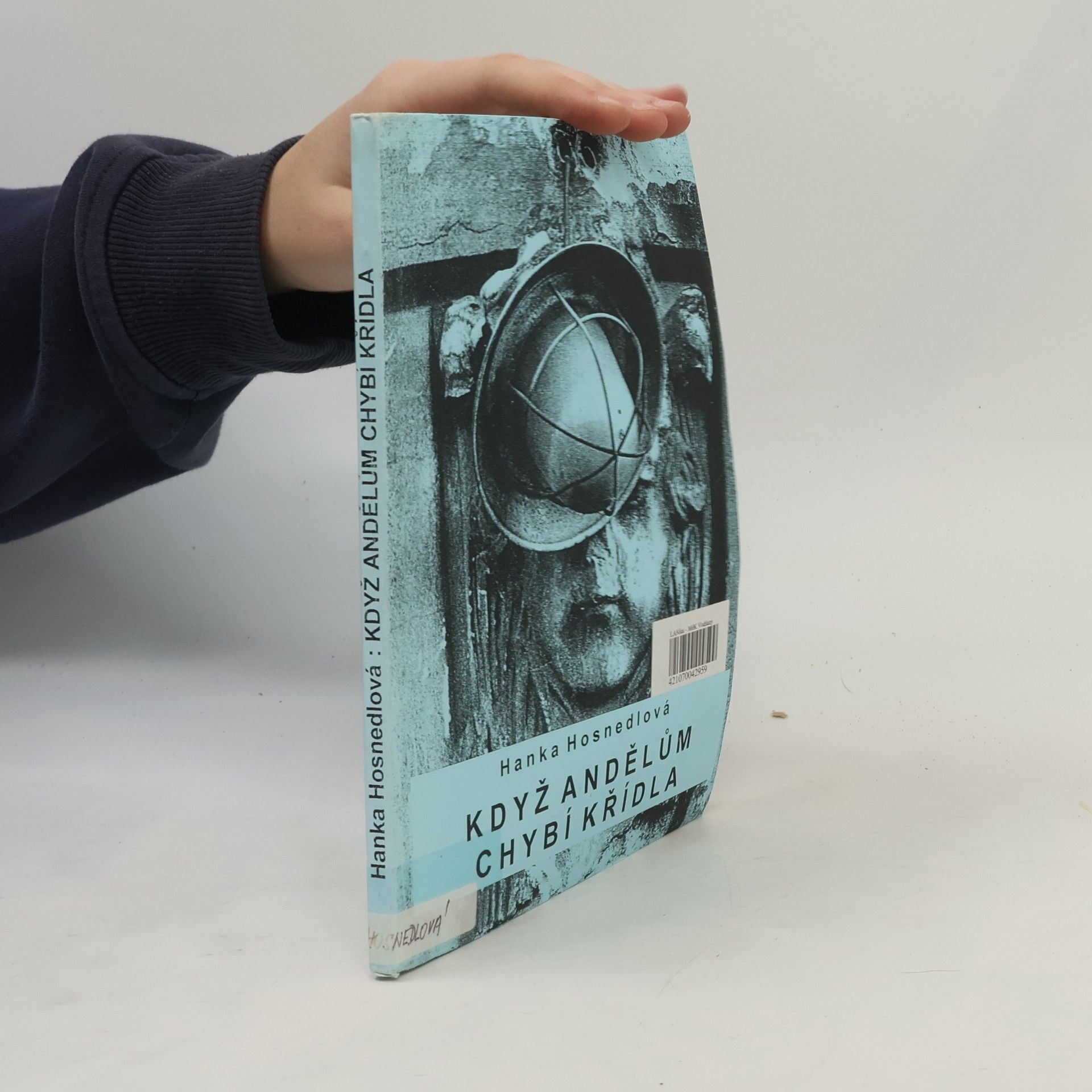 Hanka Hosnedlová Když andělům chybí křídla