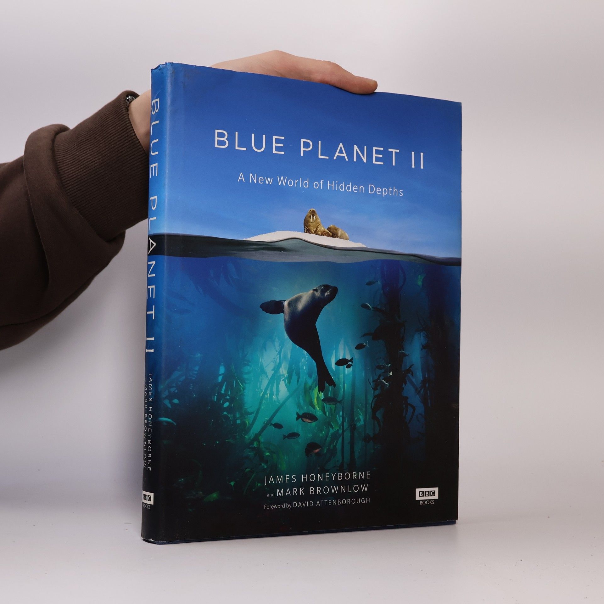 James Honeyborne Blue Planet II
