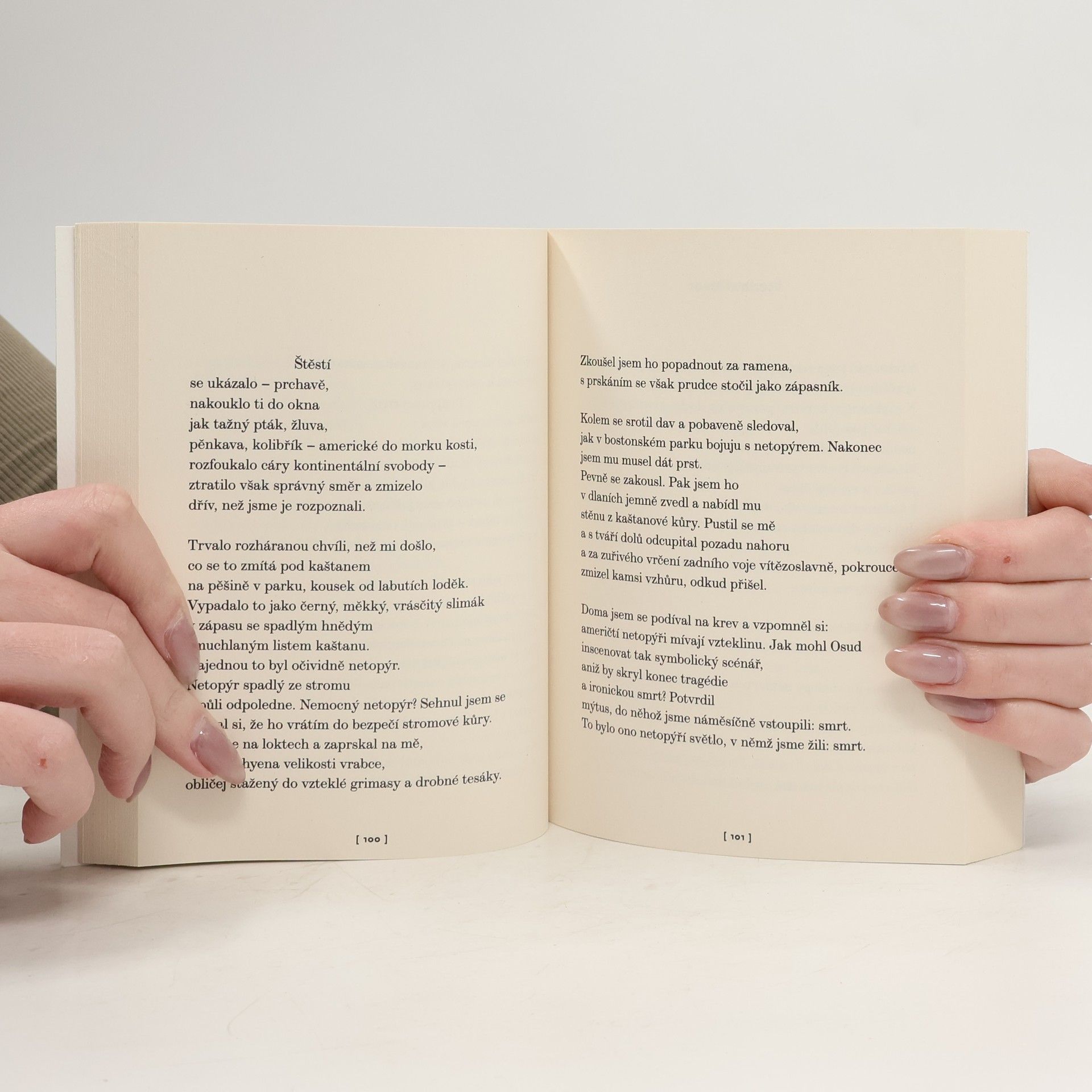 Ted Hughes Dopisy k narozeninám