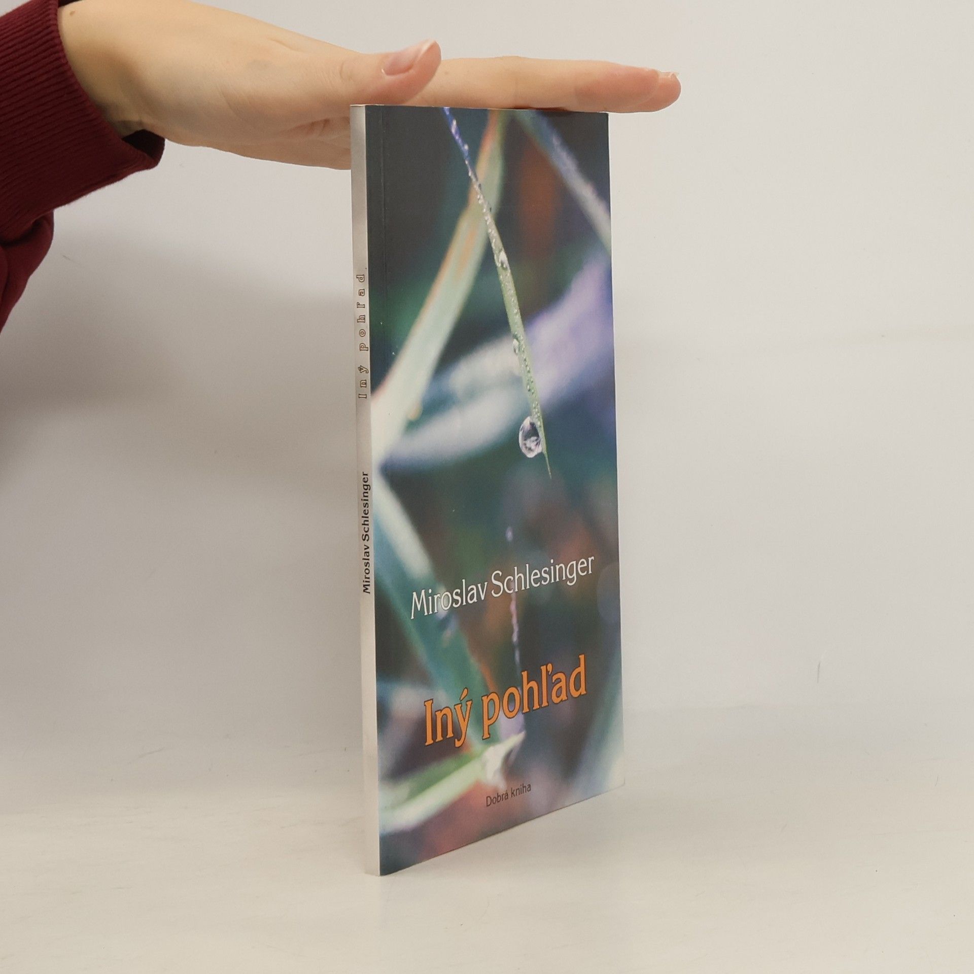 Miroslav Schlesinger Iný pohľad