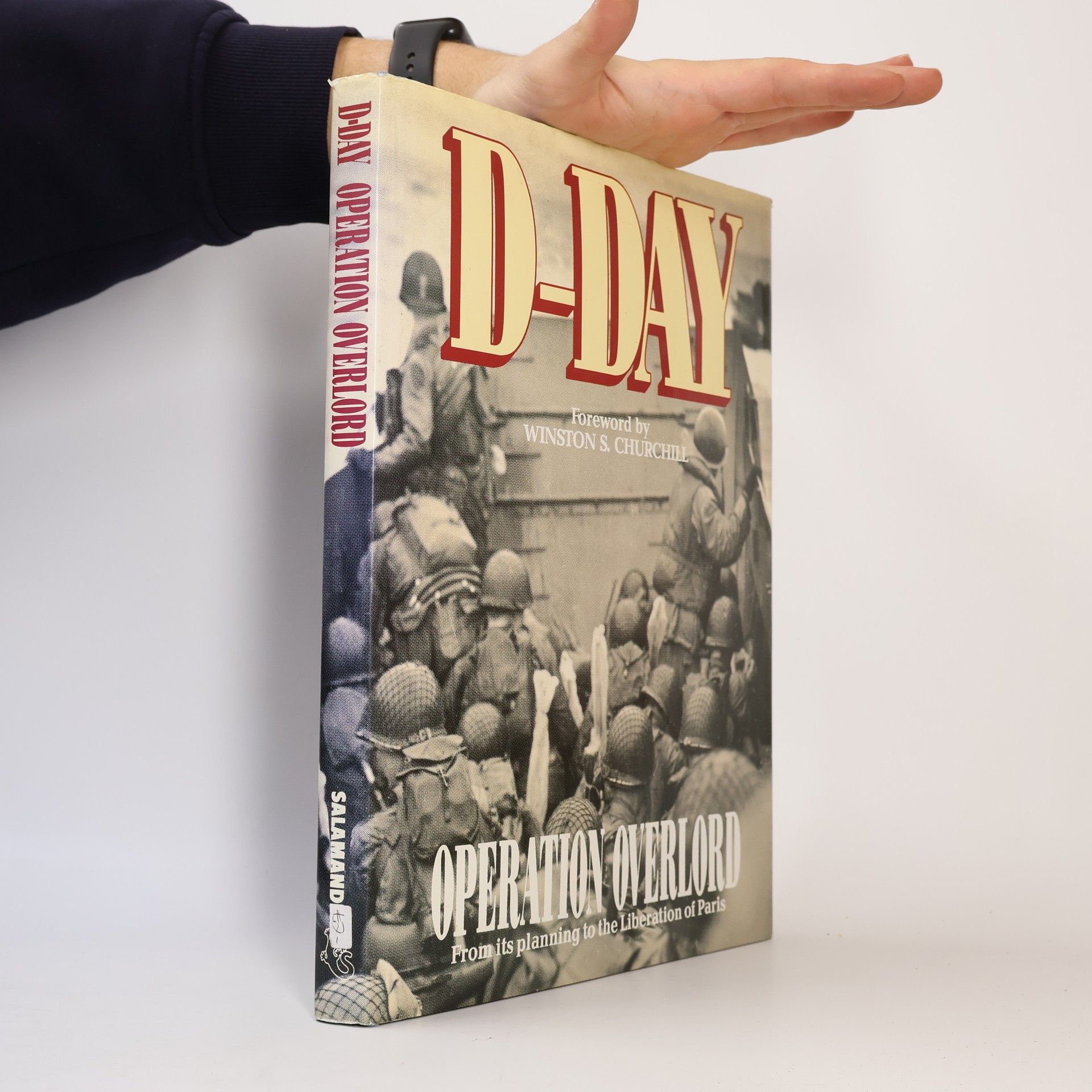 Winston Churchill D-Day