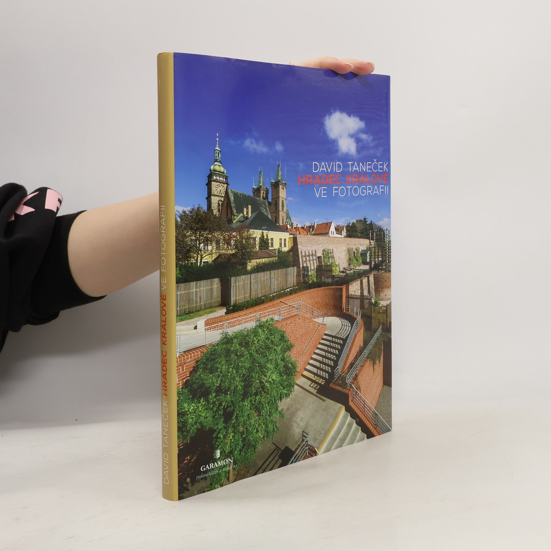 David Taneček Hradec Králové ve fotografii