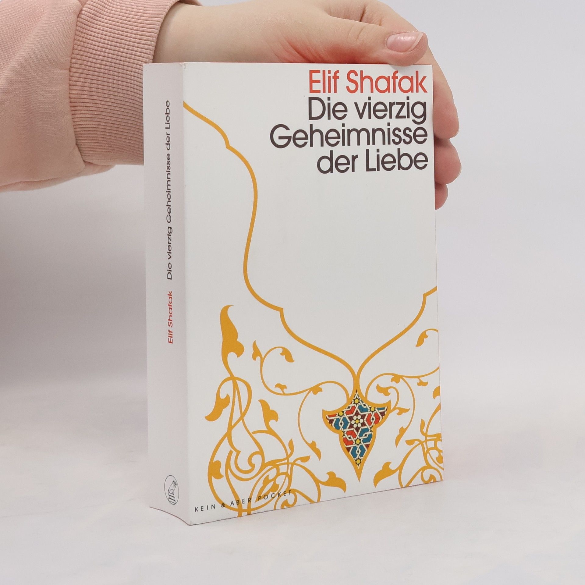 Elif Shafak Die vierzig Geheimnisse der Liebe