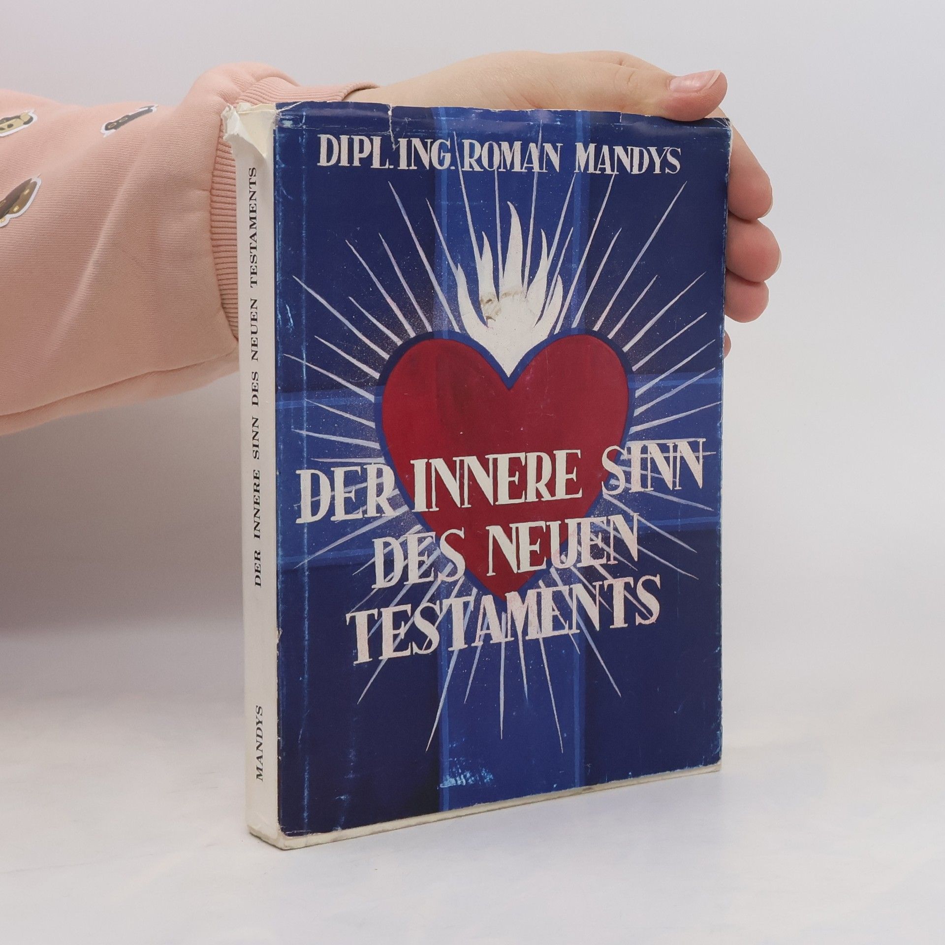 Roman Mandys Der innere Sinn des Neuen Testaments