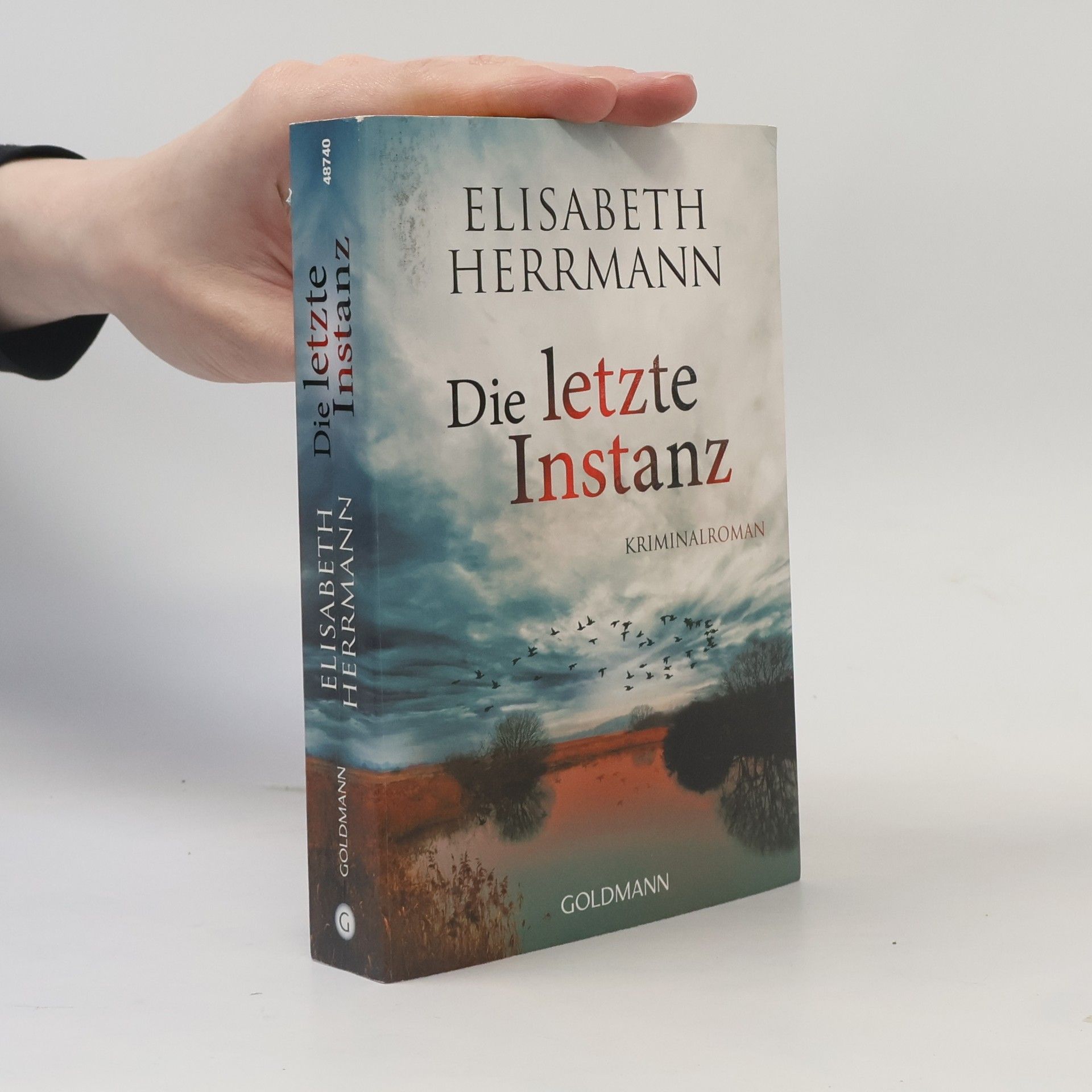 Elisabeth Hermann Die letzte Instanz
