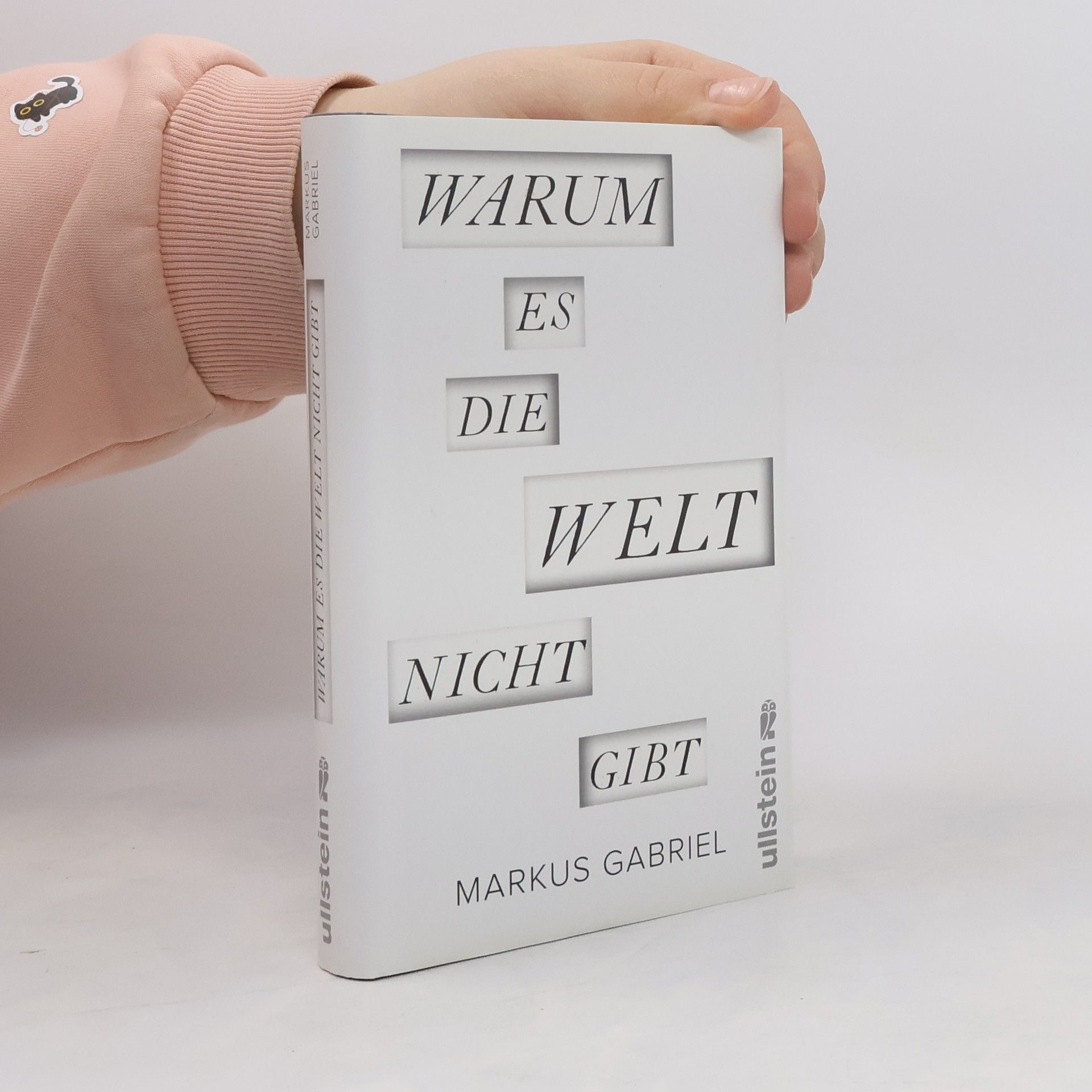 Markus Gabriel Warum es die Welt nicht gibt