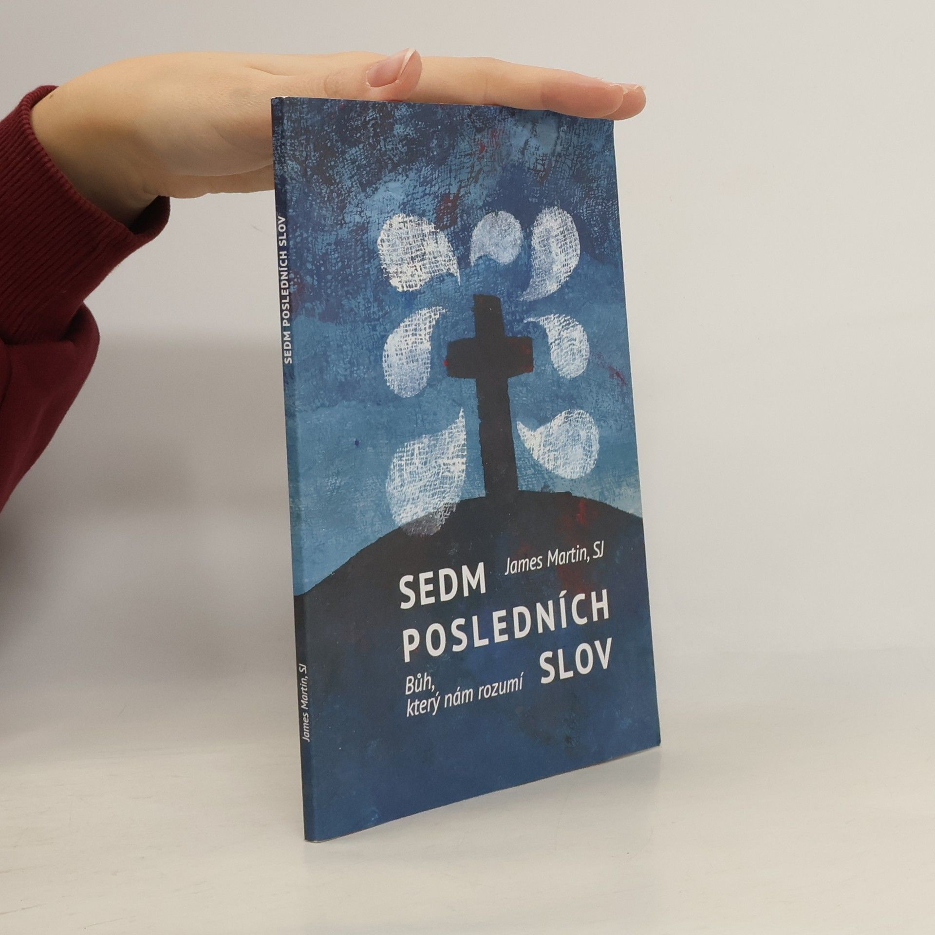 James Martin SJ Sedm posledních slov - Bůh, který nám rozumí