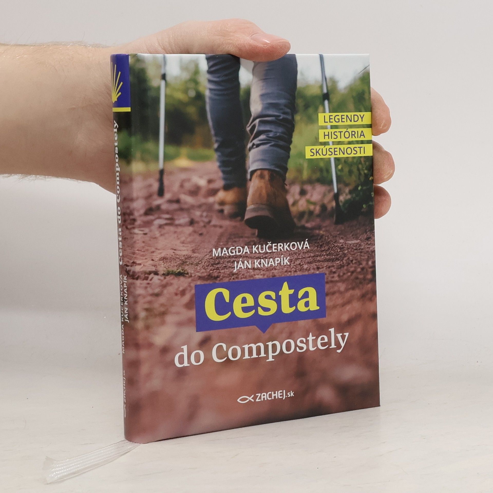 Kolektív autorov Cesta do Compostely