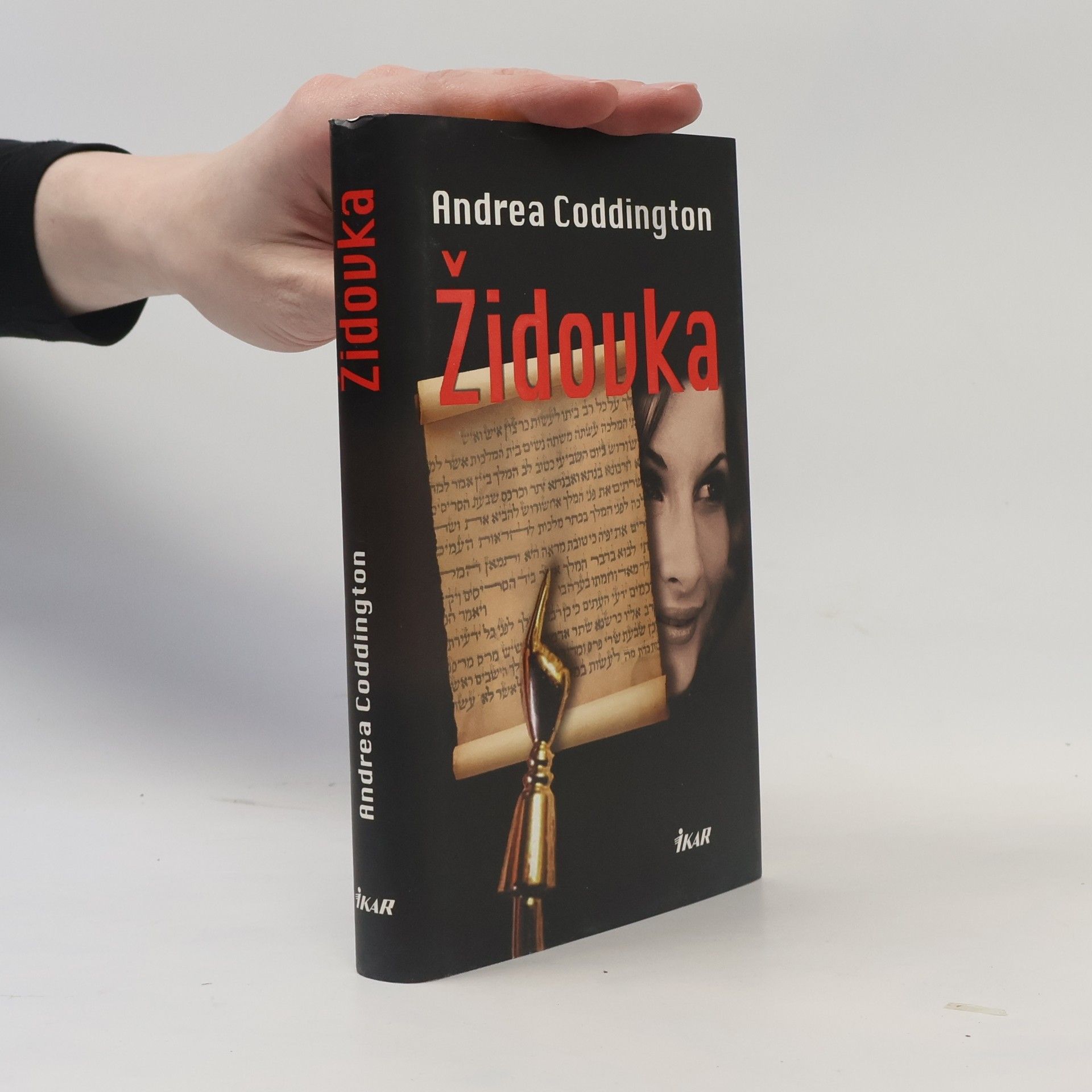 Kolektiv autorů Cestovatelský deník