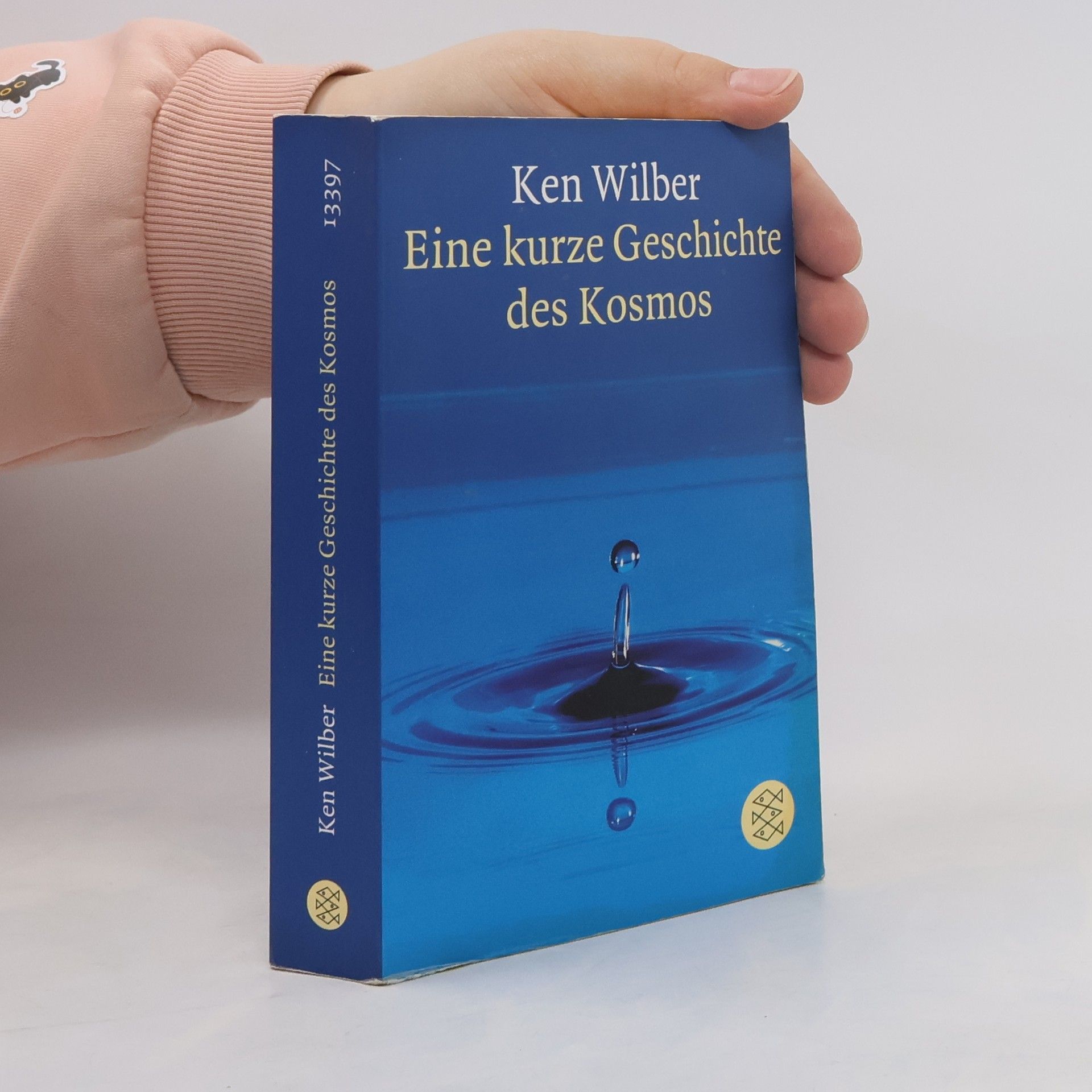 Ken Wilber Eine kurze Geschichte des Kosmos