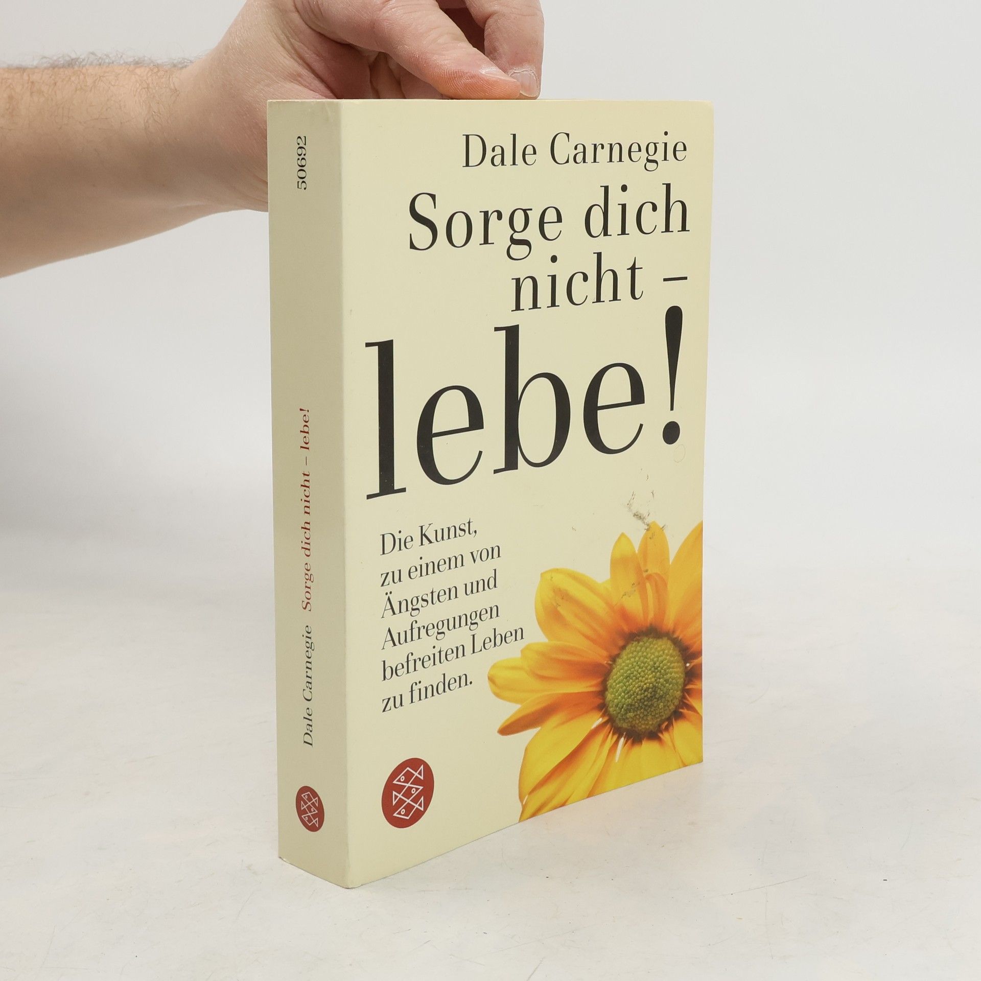 Dale Carnegie Sorge dich nicht - lebe!