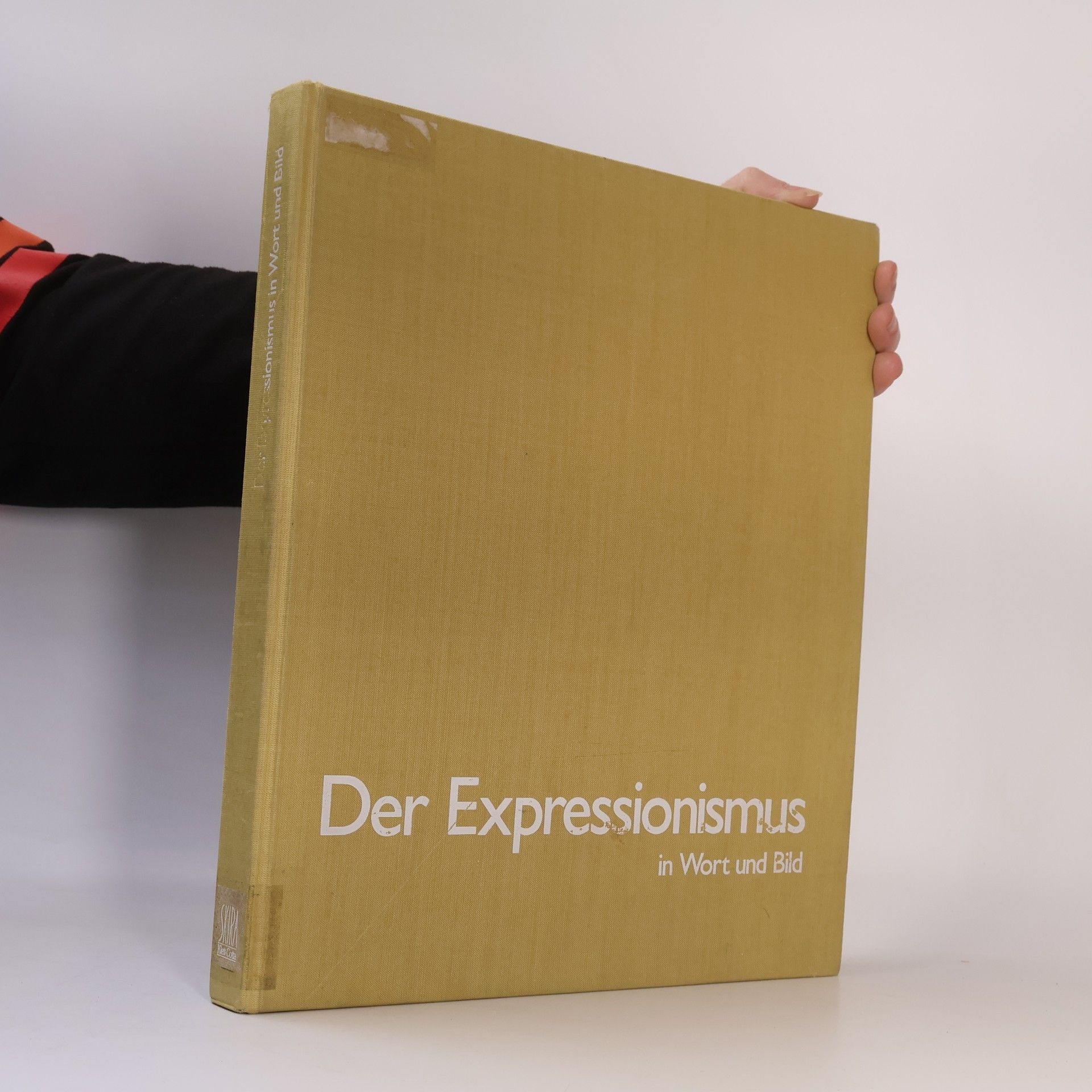 Wolf Dieter Dube Der Expressionismus in Wort und Bild