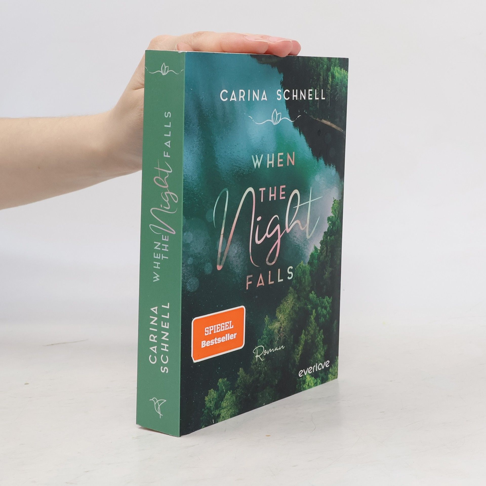 Carina Schnell When the Night Falls