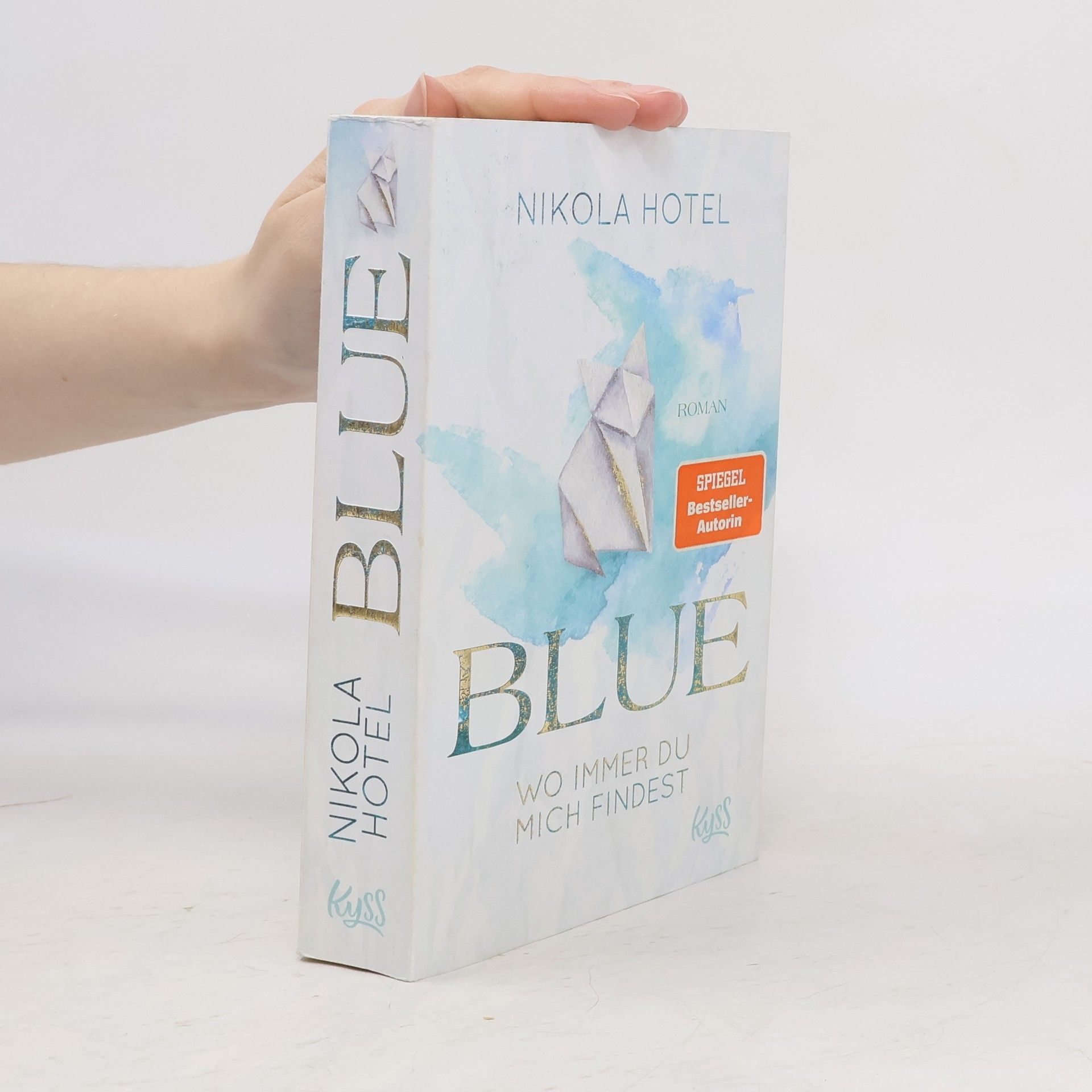 Nikola Hotel Blue. Wo immer du mich findest