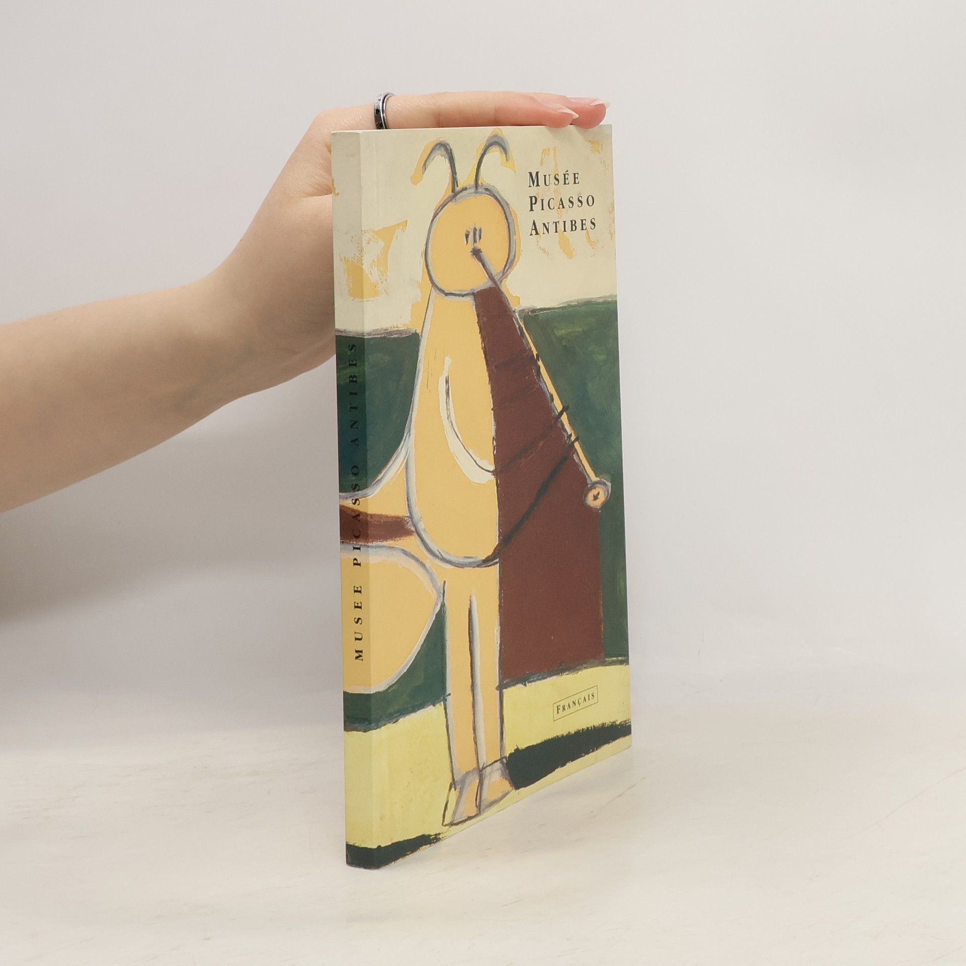 Thierry Davila Le Musée Picasso d'Antibes