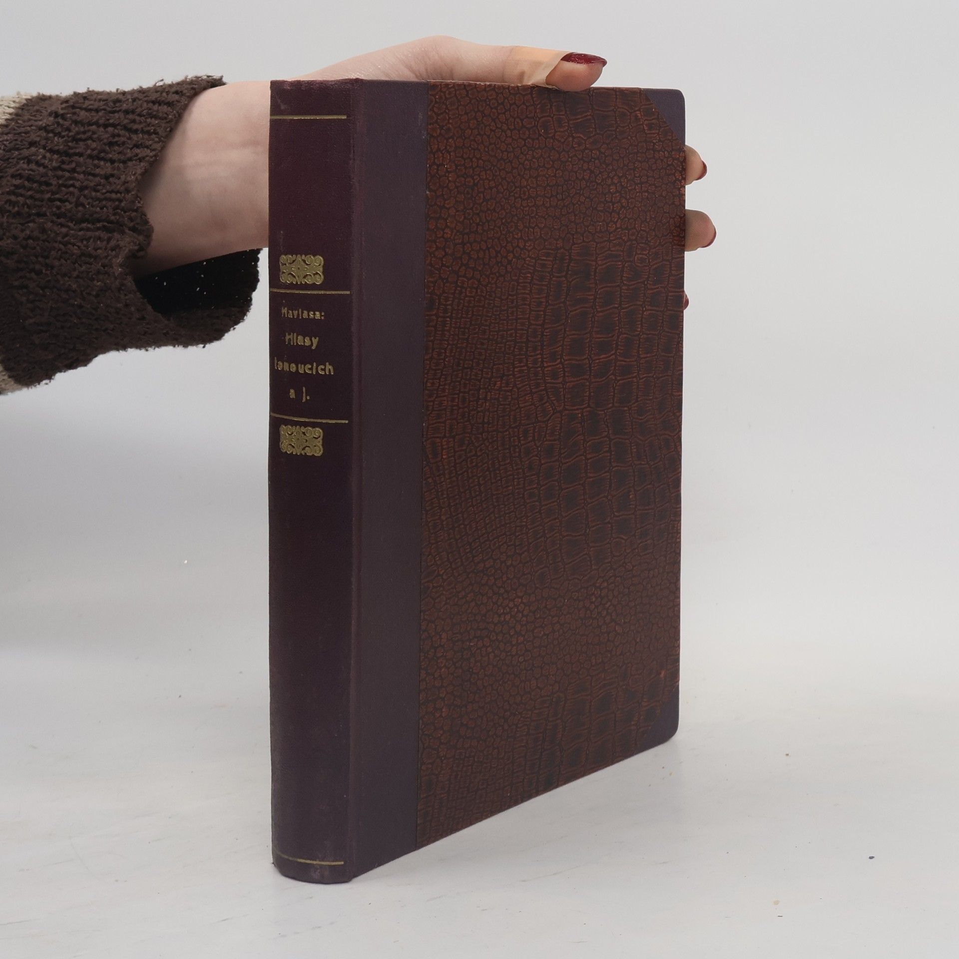 Jan Havlasa Hlasy tonoucích