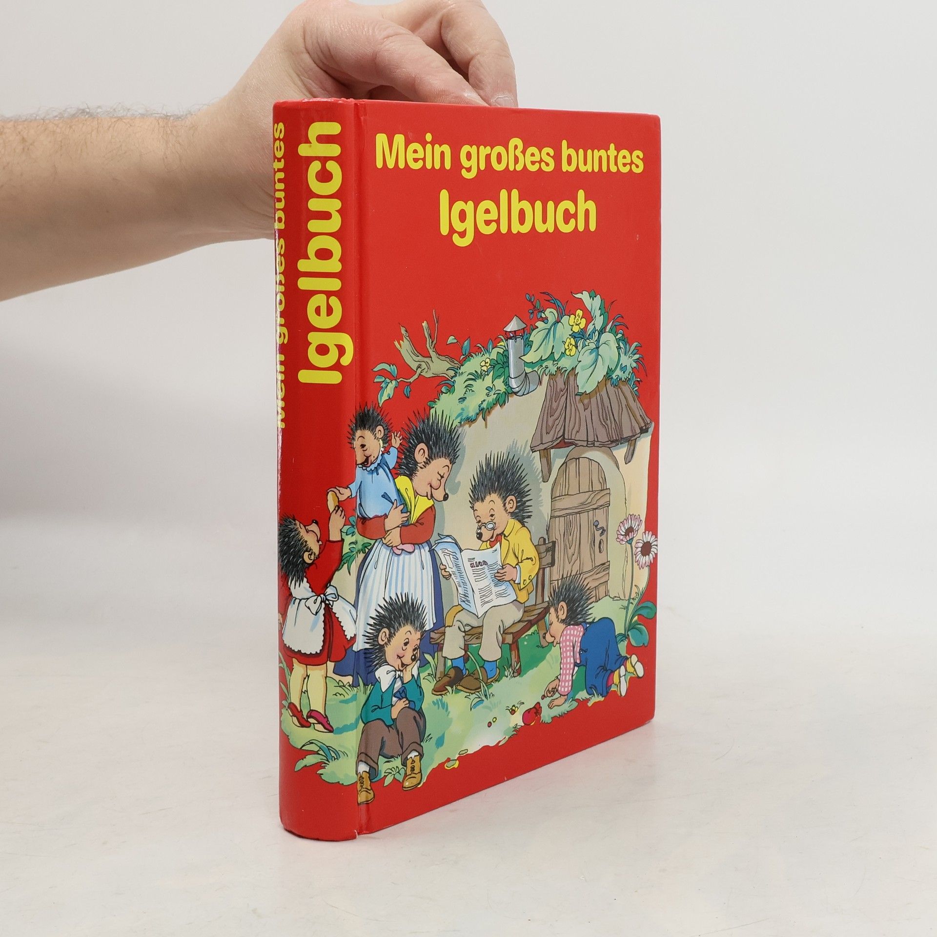 Autorenkollektiv Mein großes buntes Igelbuch