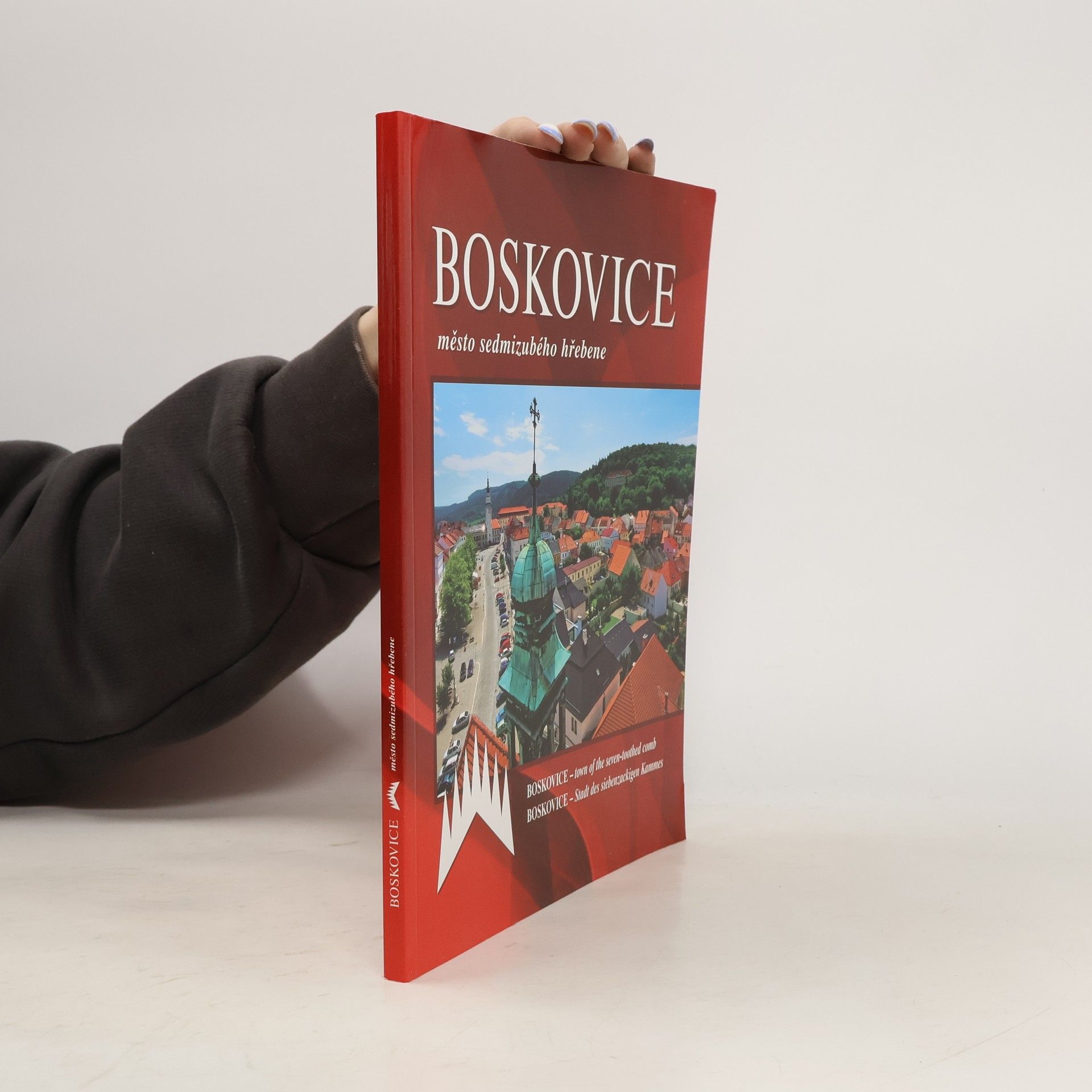 Autorenkollektiv Boskovice - město sedmizubého hřebene