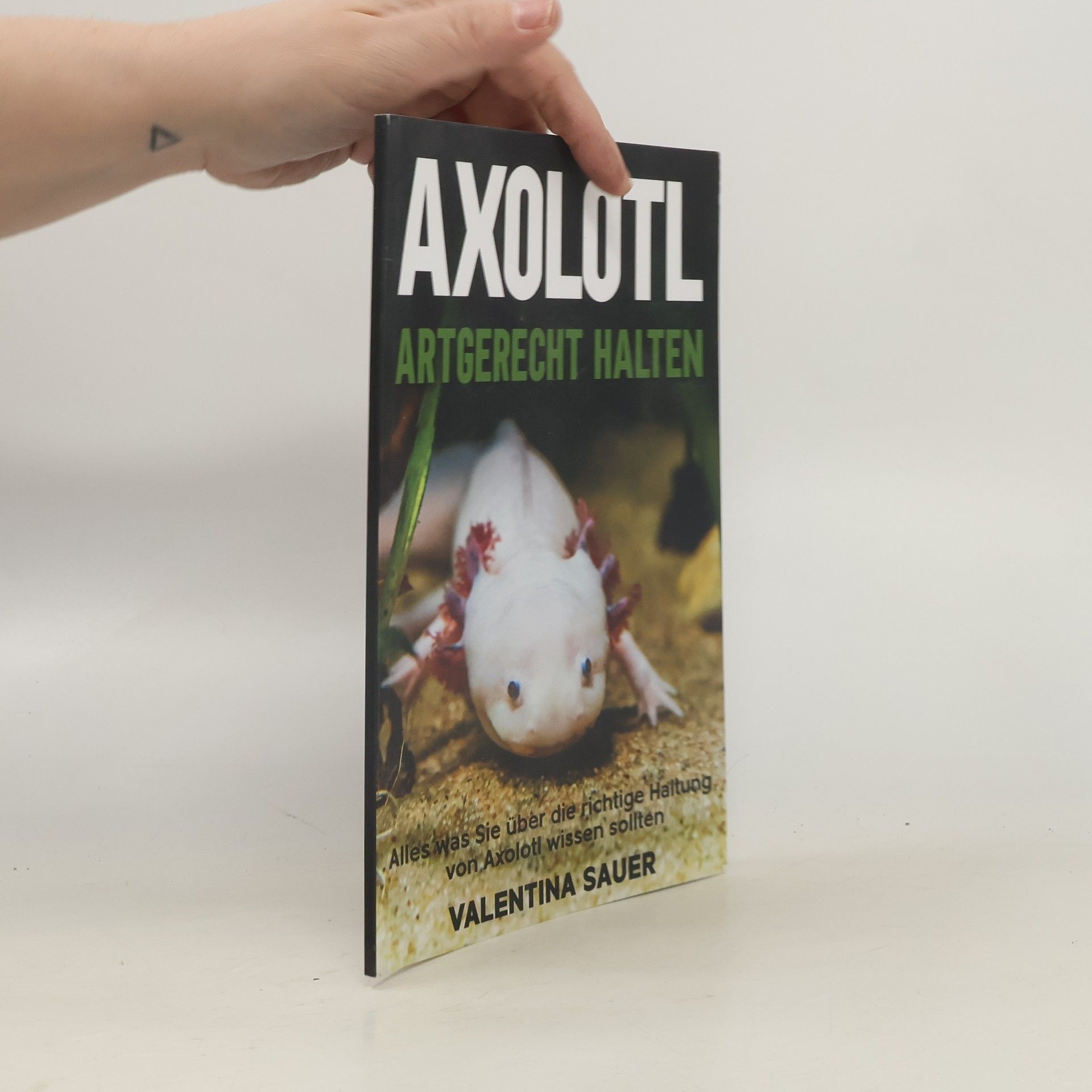 Valentina Sauer Axolotl artgerecht halten