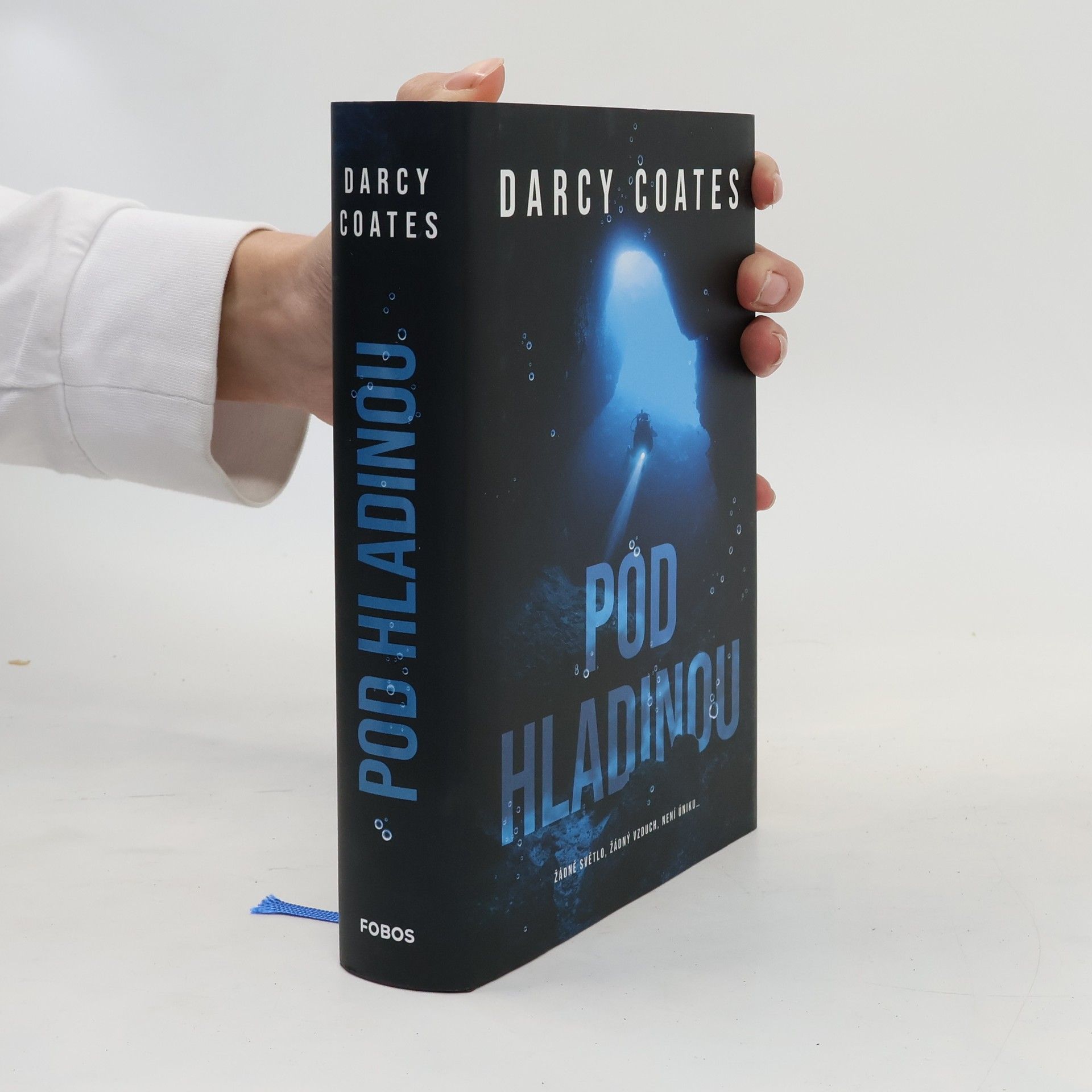 Darcy Coates Pod hladinou