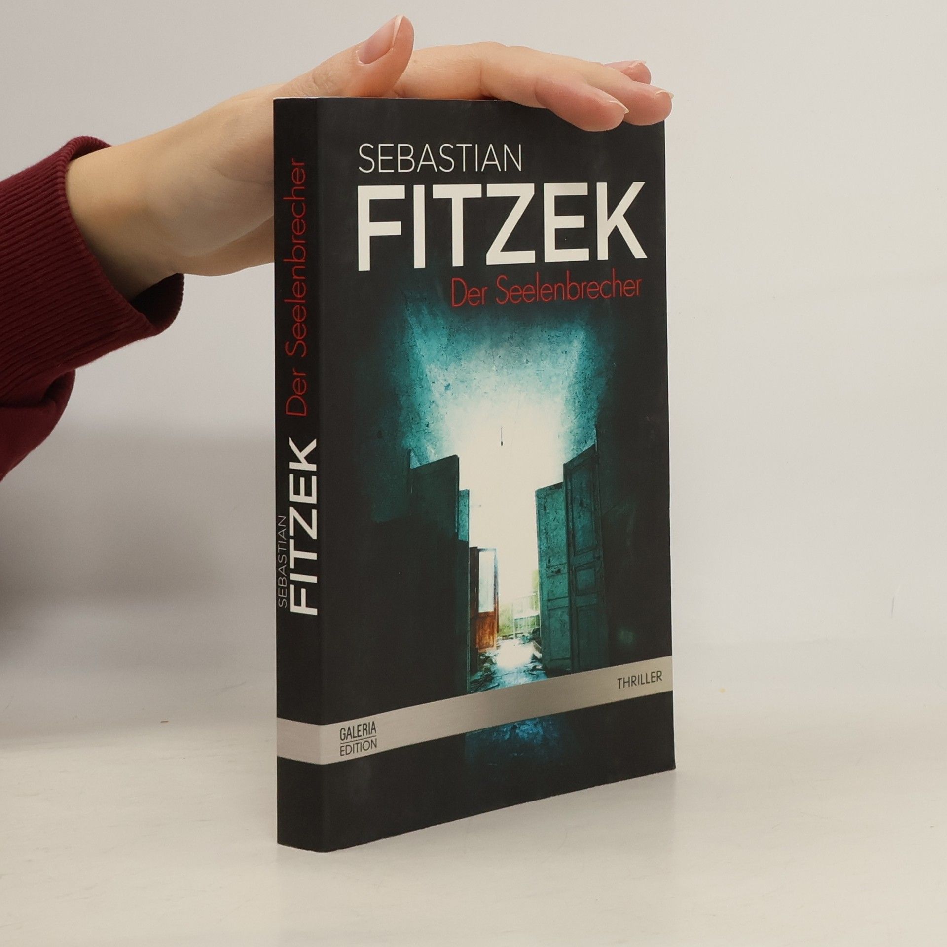 Sebastian Fitzek Der Seelenbrecher