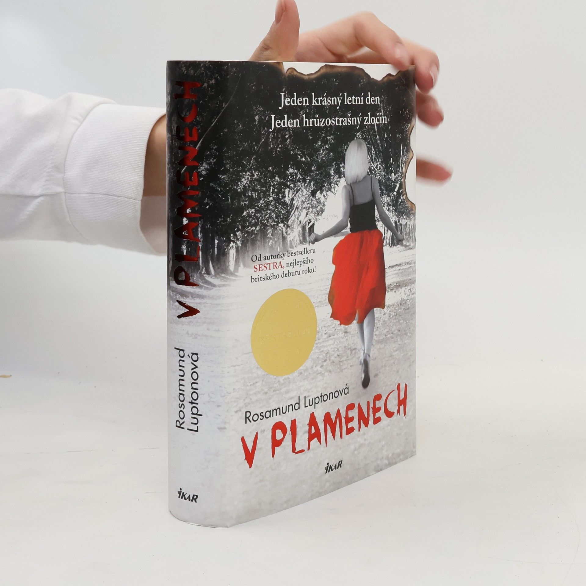Rosamund Lupton V plamenech