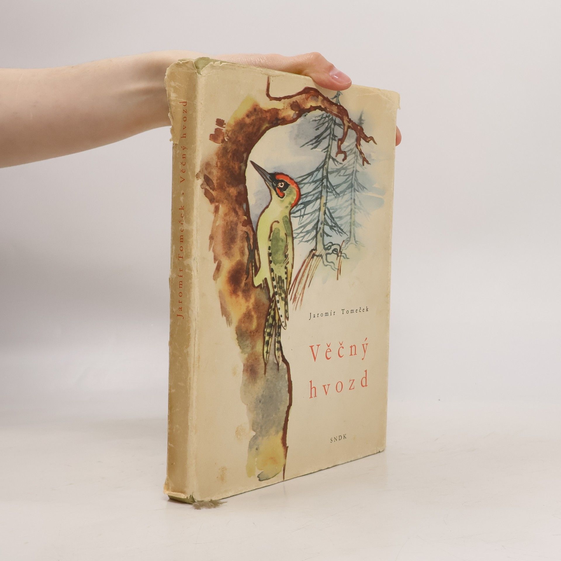 Jaromír Tomeček Věčný hvozd