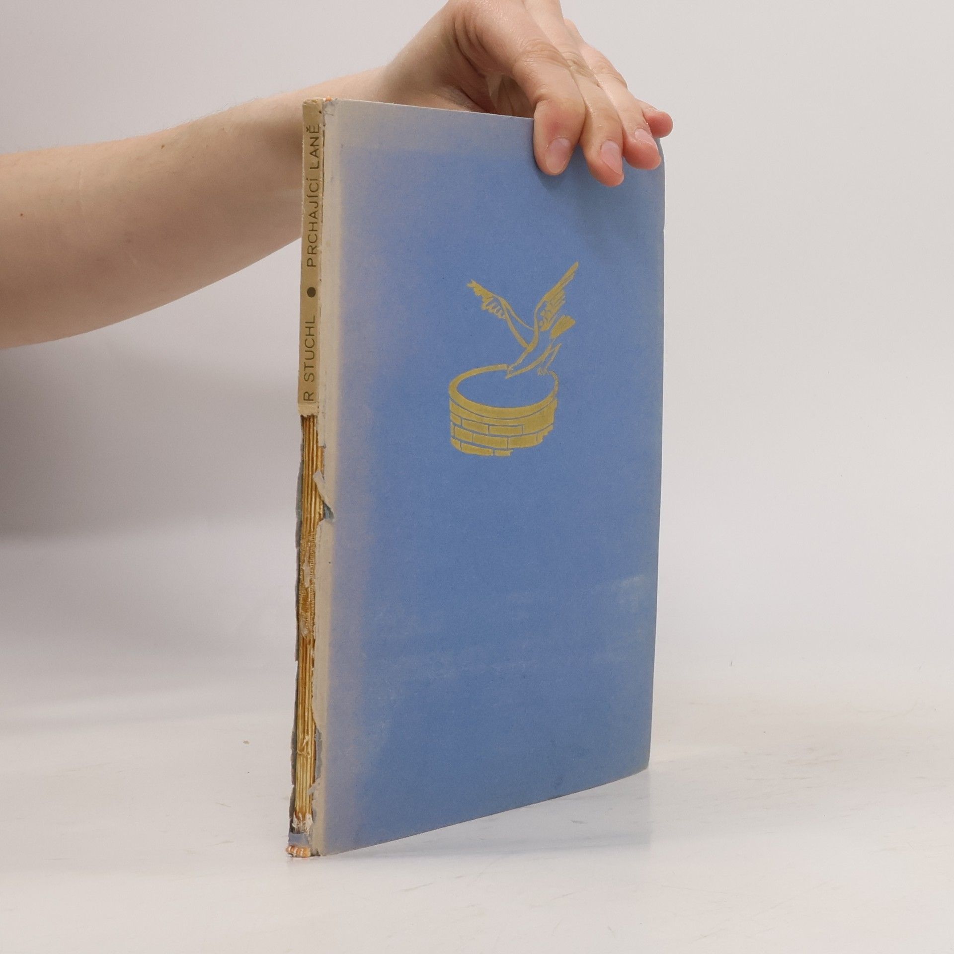 Vladimír Stuchl Prchající laně