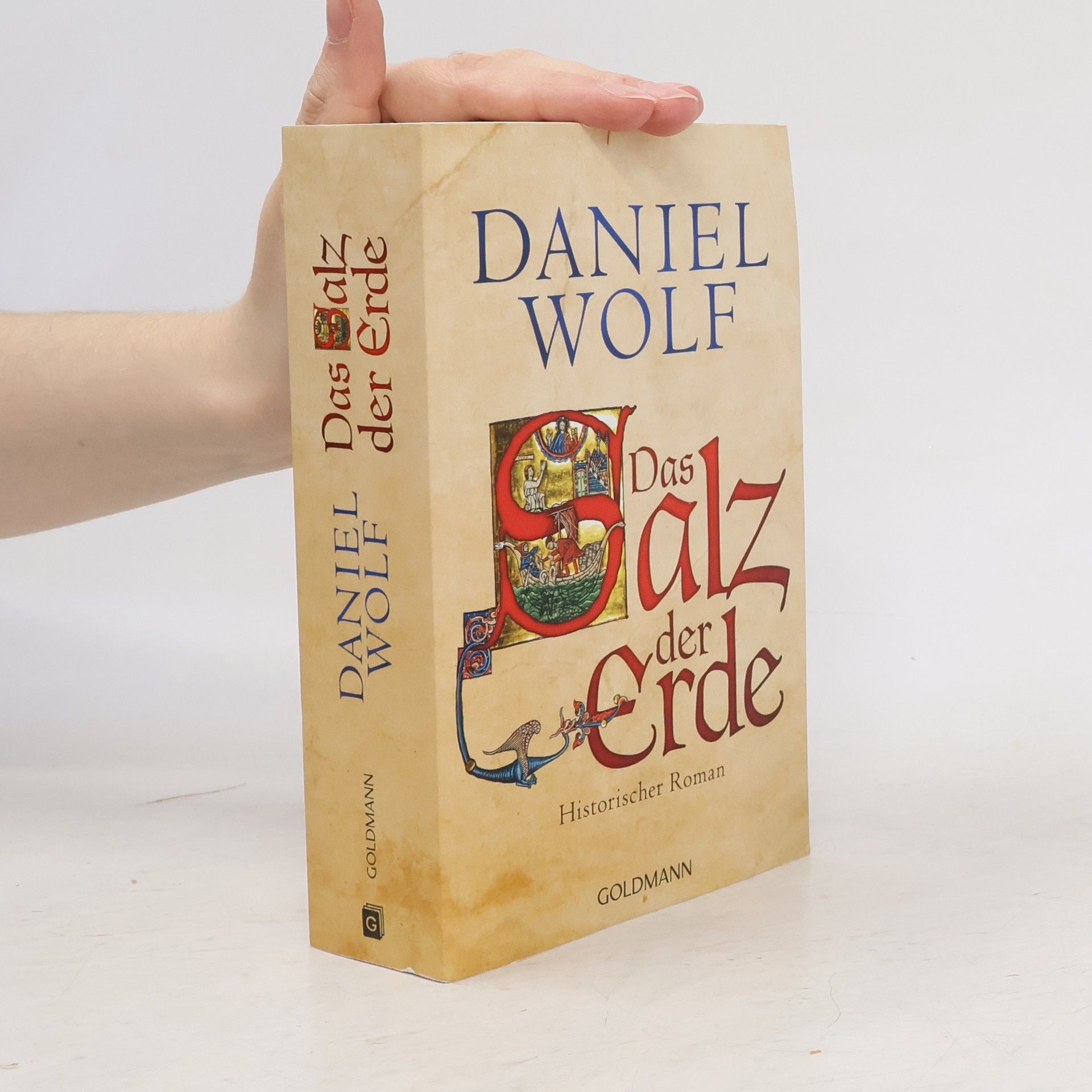 Daniel Wolf Das Salz der Erde : historischer Roman