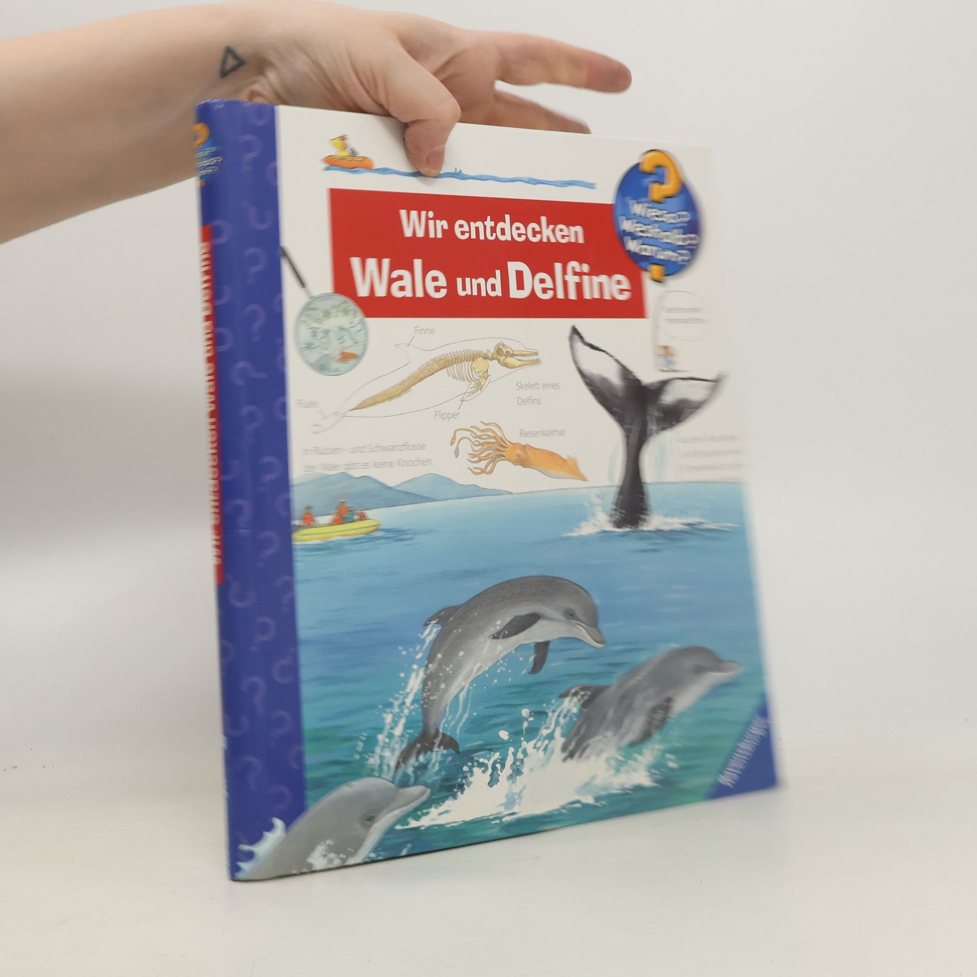 Doris Rübel Wir entdecken Wale und Delfine