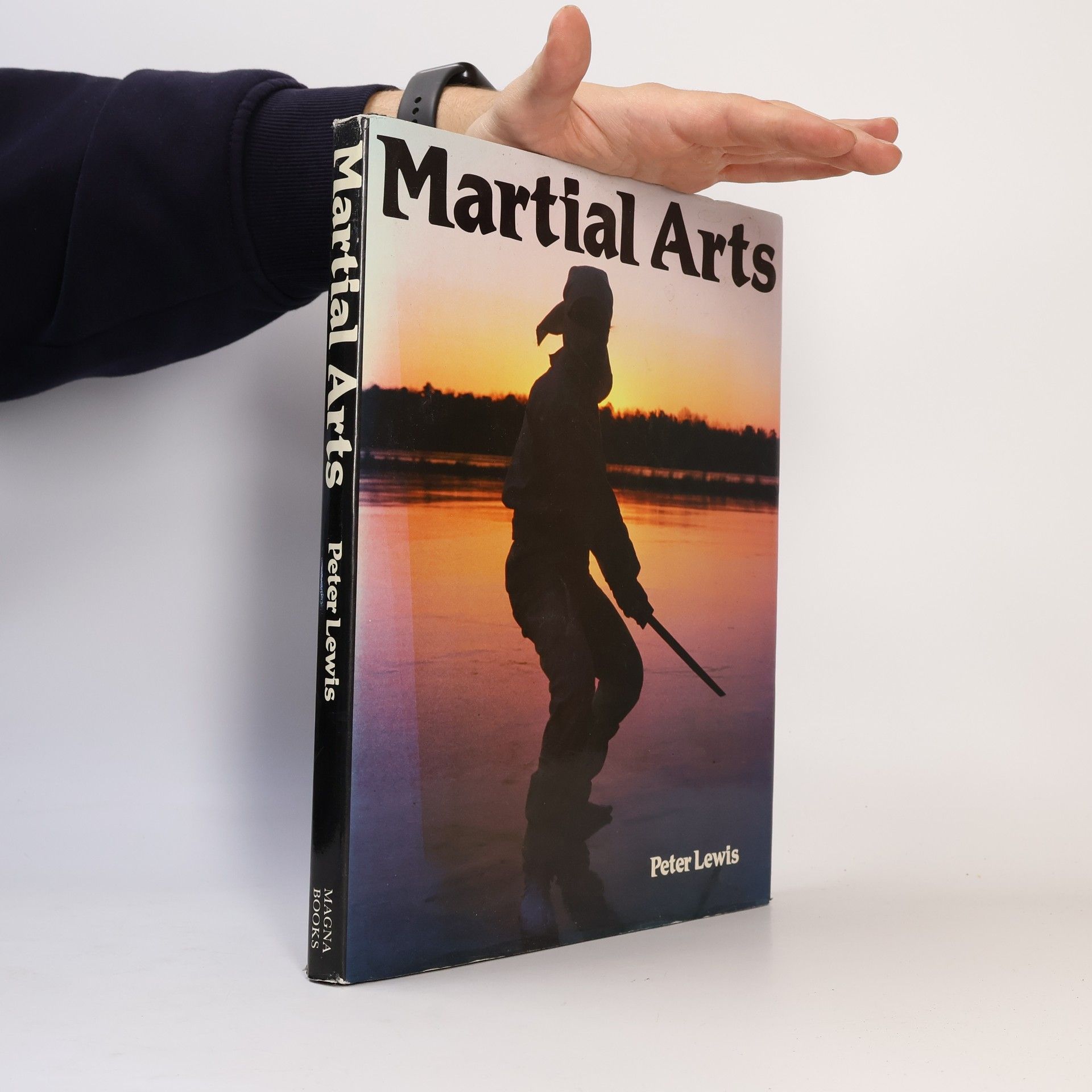 Peter Lewis Martial Arts