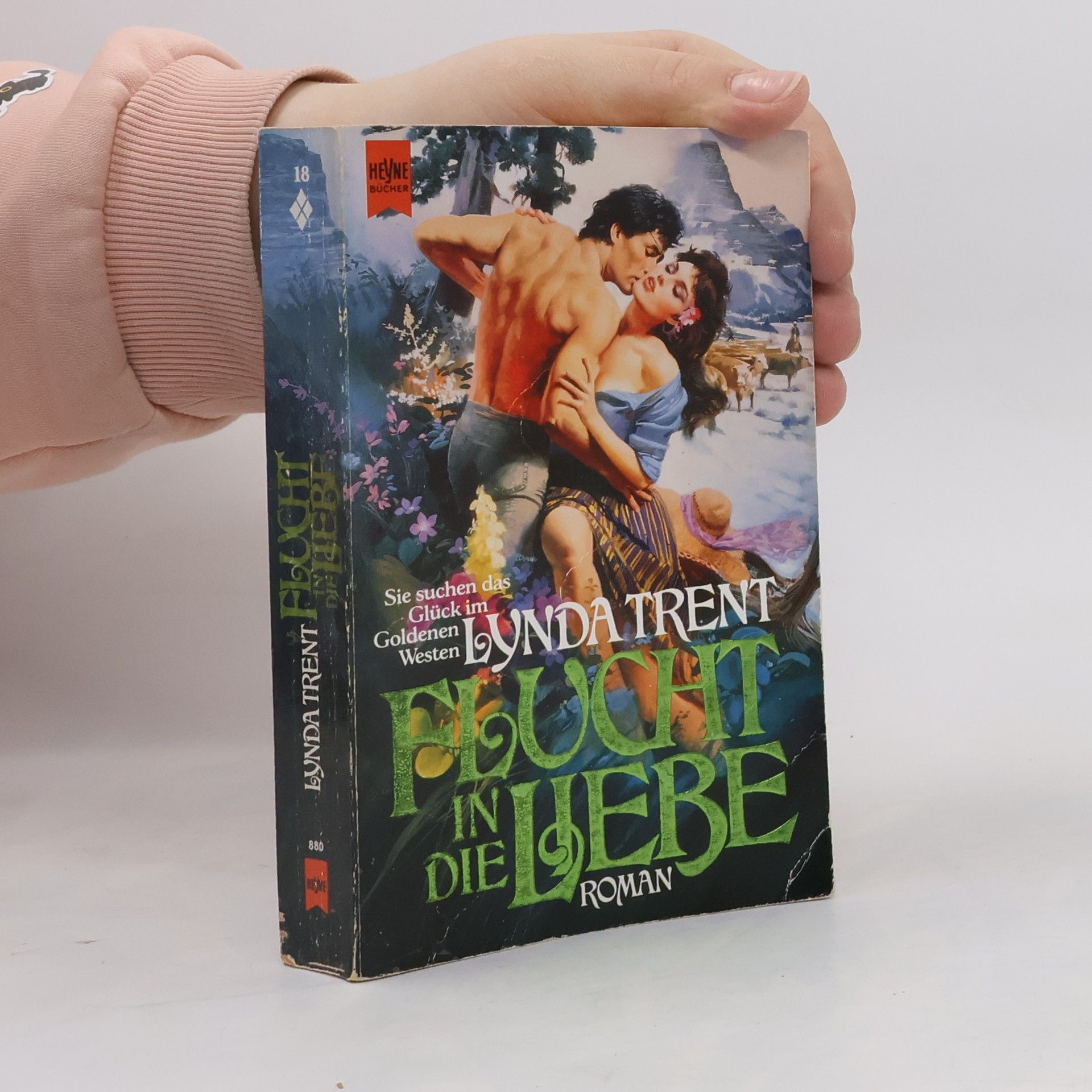 Lynda Trent Flucht in die Liebe