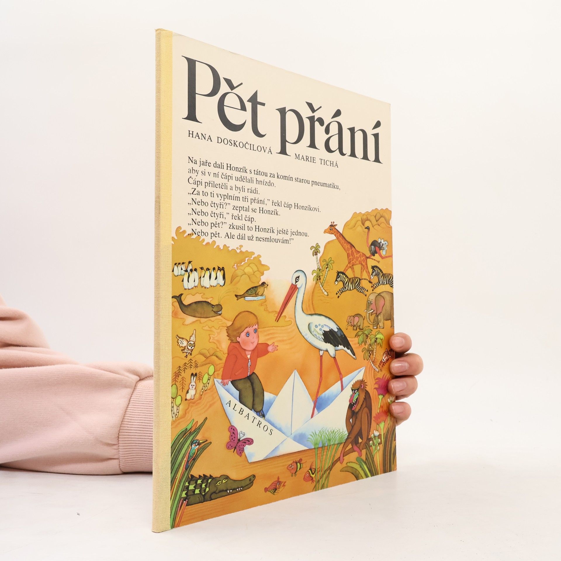 Marie Tichá Pět přání