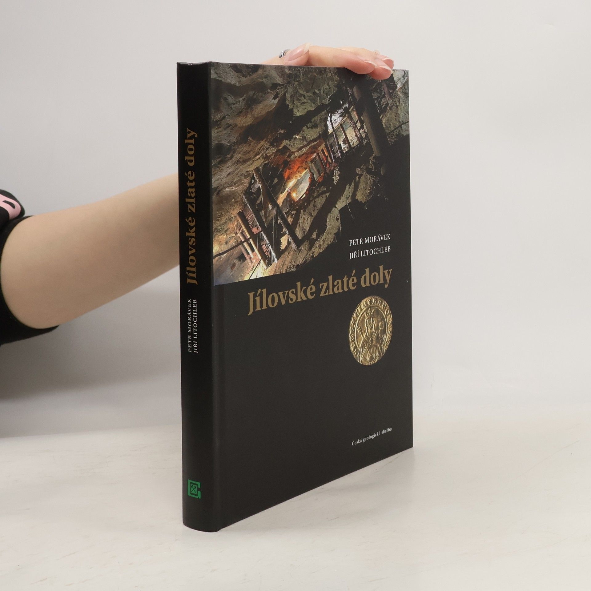 Petr Morávek Jílovské zlaté doly