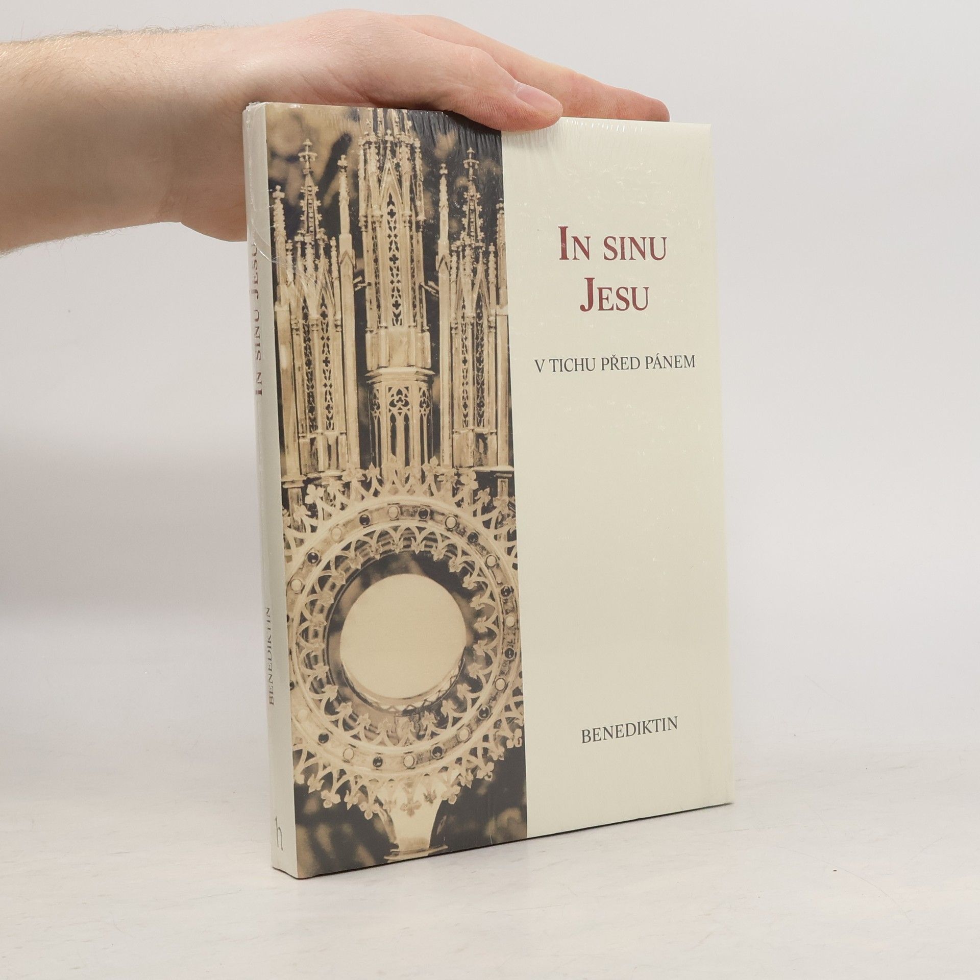 Benediktin In sinu Jesu. V tichu před Pánem