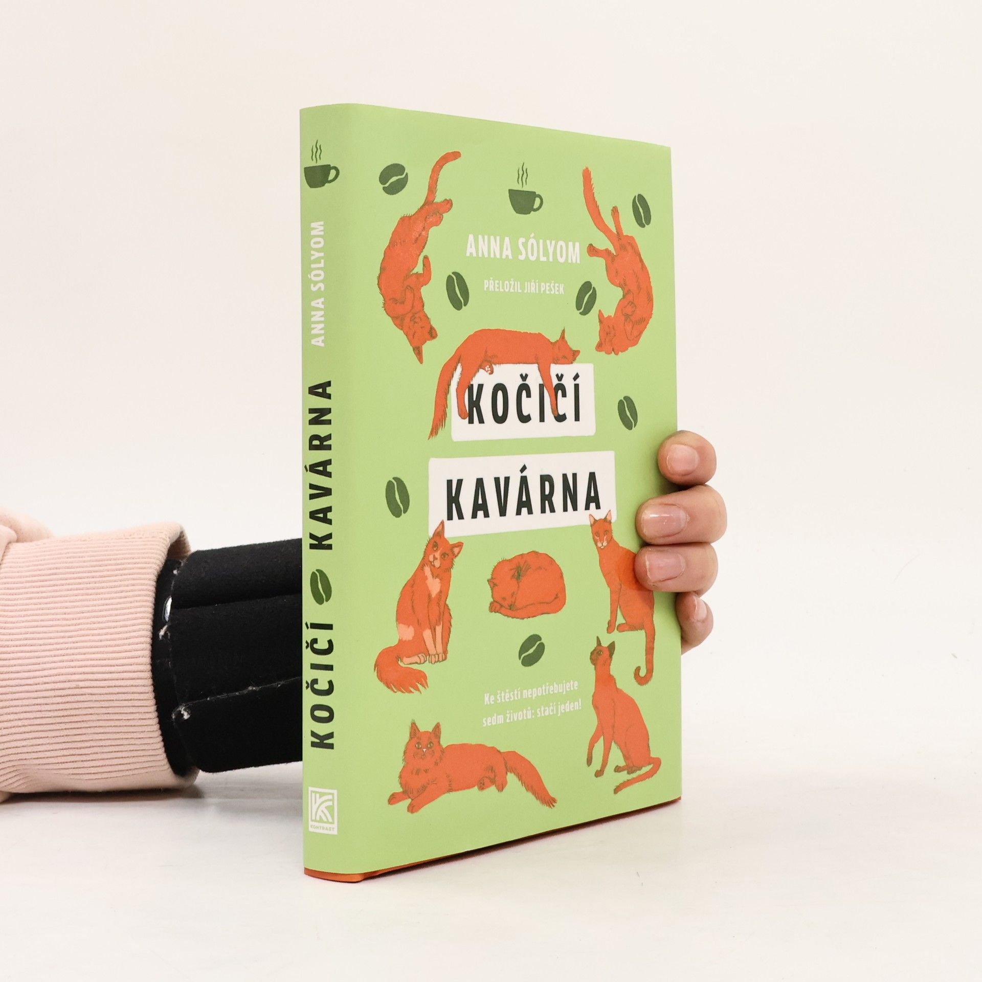 Anna Sólyom Kočičí kavárna