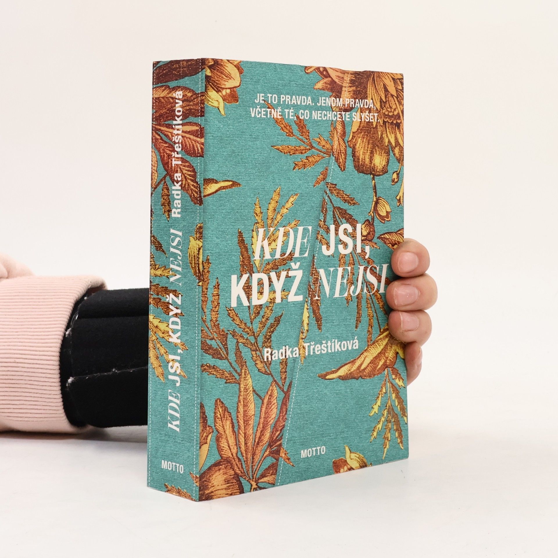 Radka Třeštíková Kde jsi, když nejsi