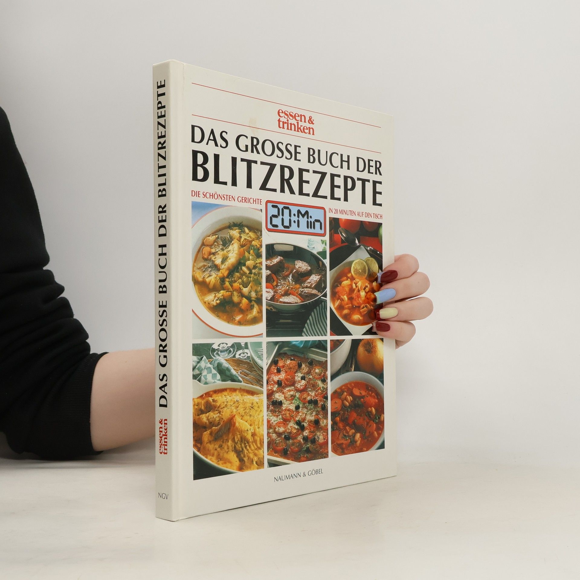 Autorenkollektiv Das Grosse Buch Der Blitzrezepte