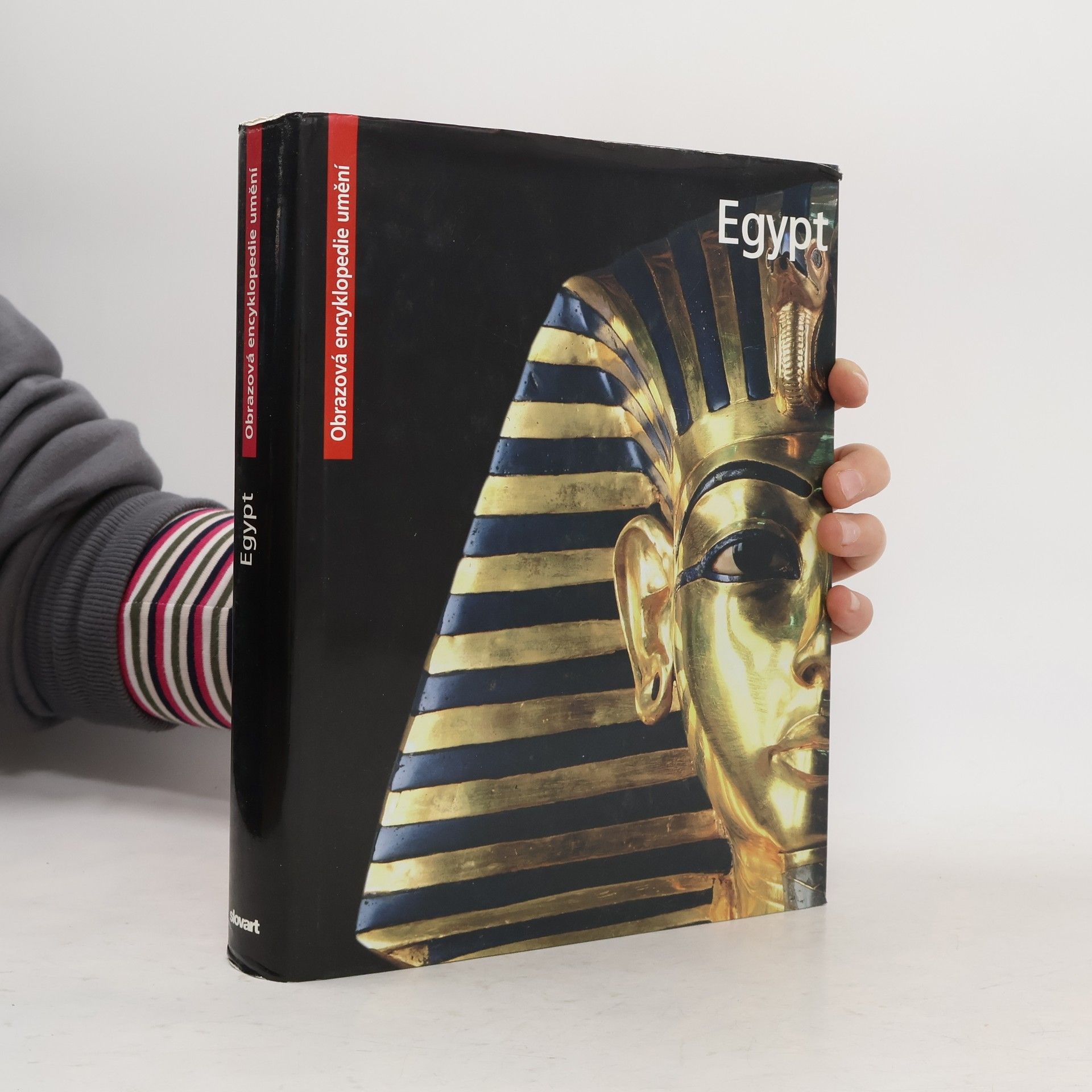 Alice Cartocci Egypt. Obrazová encyklopedie umění