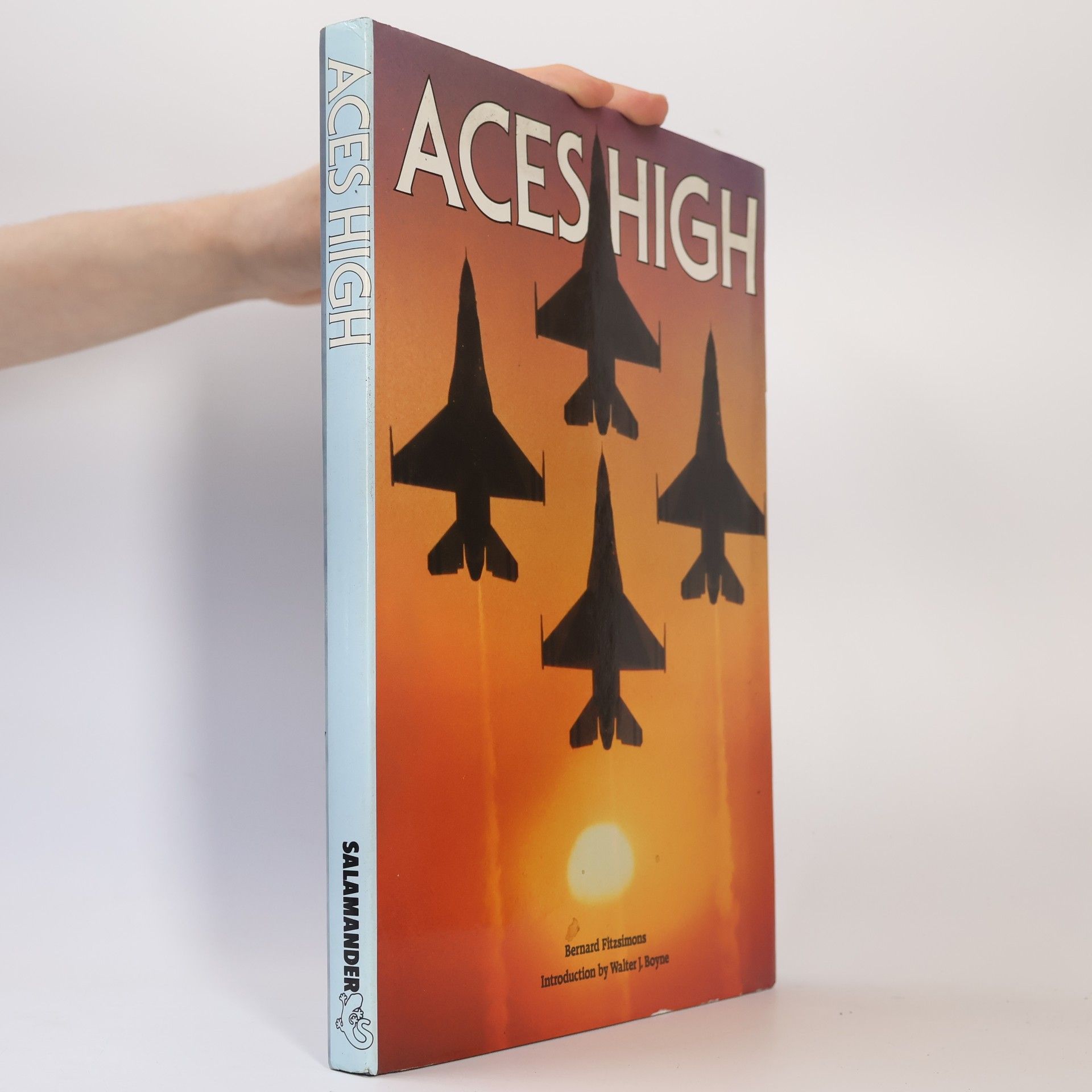 Bernard Fitzsimons Aces High