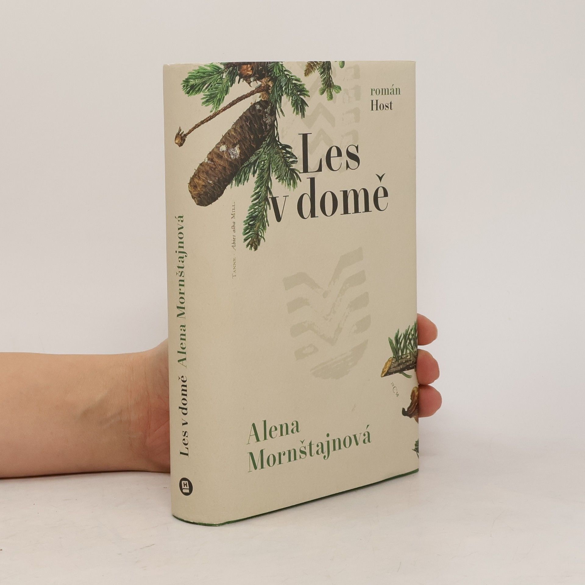 Alena Mornštajnová Les v domě