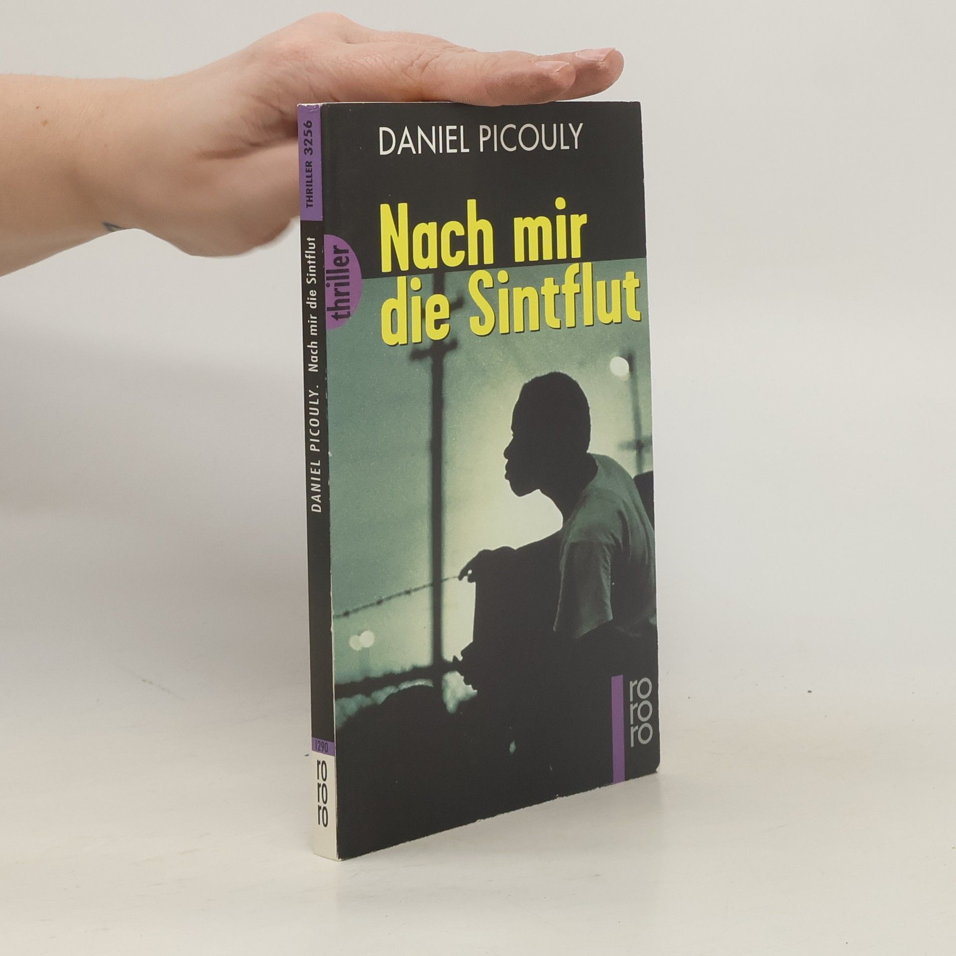 Nach mir die Sintflut